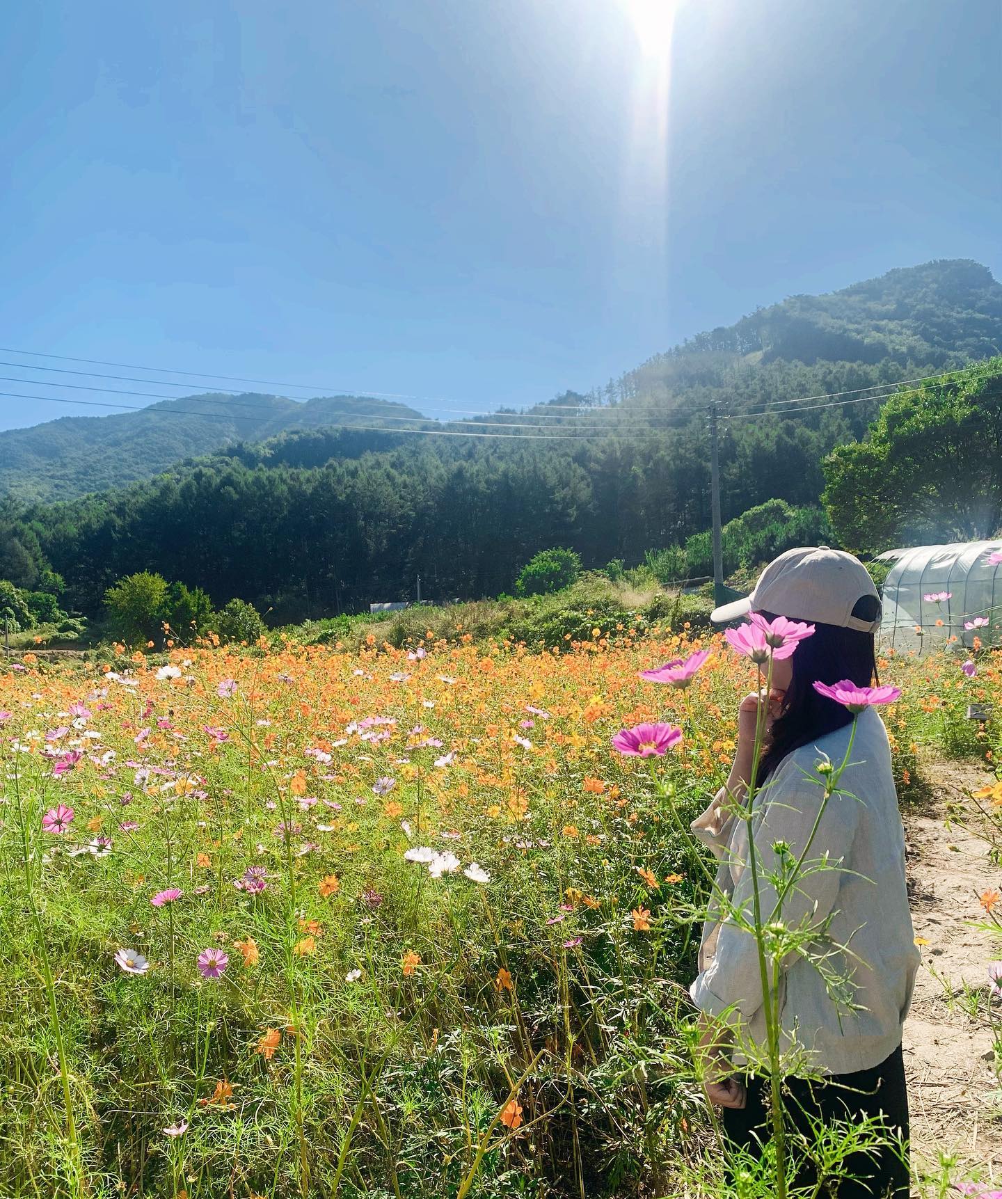 ✋🏻 안녕하세요 여행담다의 나리꽃입니다.
📍 원주 용수골꽃양귀비축제

#원주 #원주가볼만한곳 #원주여행 #원주데이트 #원주핫플 #용수골양귀비축제 #꽃축제 #여행 #여행스타그램 #여행중 #여행사진 #여행기록 #여행그램 #여행다녀왔습니다 #여행은즐거워 #국내여행코스 #국내가볼만한곳 #국내여행스타그램 #국내여행추천 #국내여행지추천