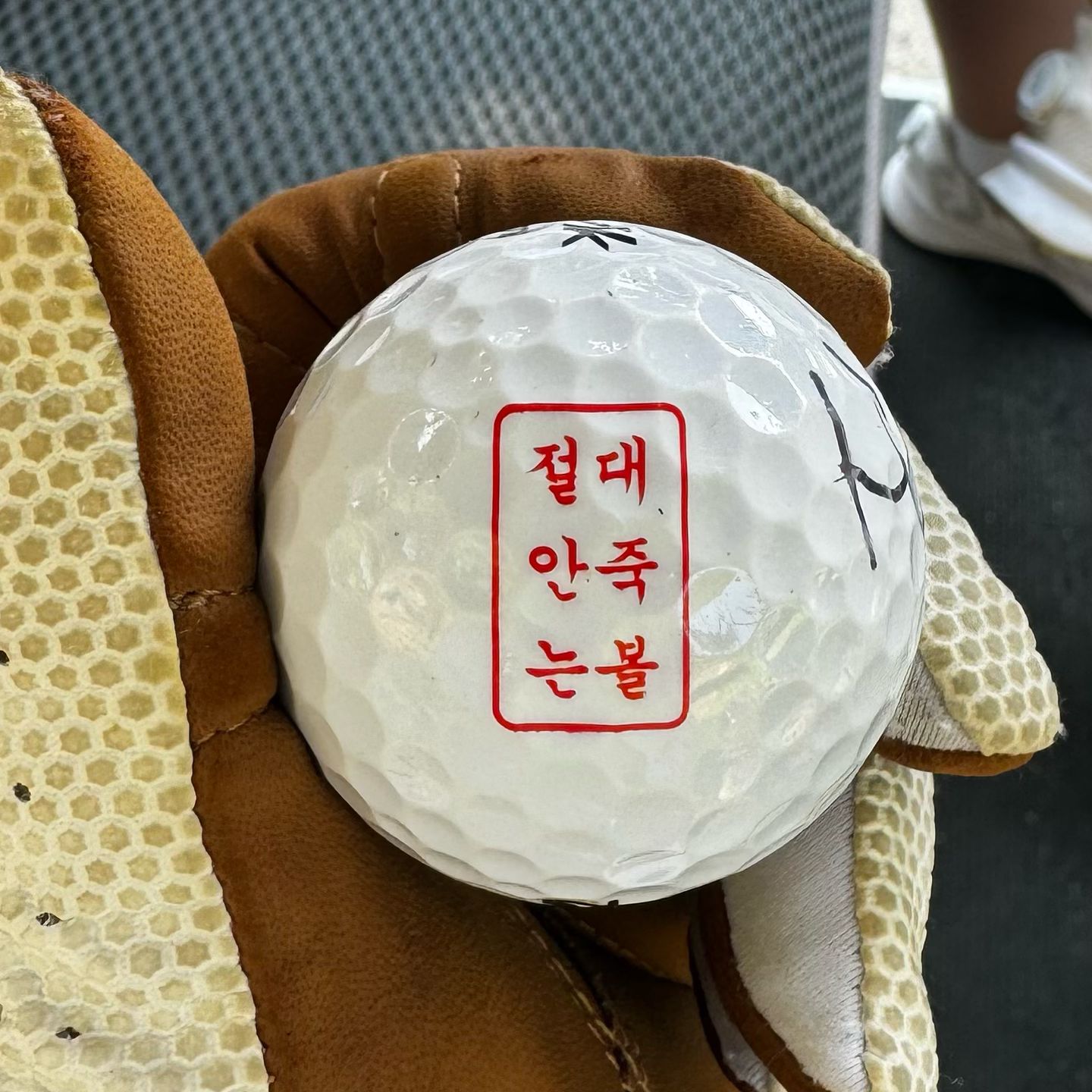 #절대안죽는볼
즉시죽었다 🥲
.
.
#골린이 #골프 #golf #