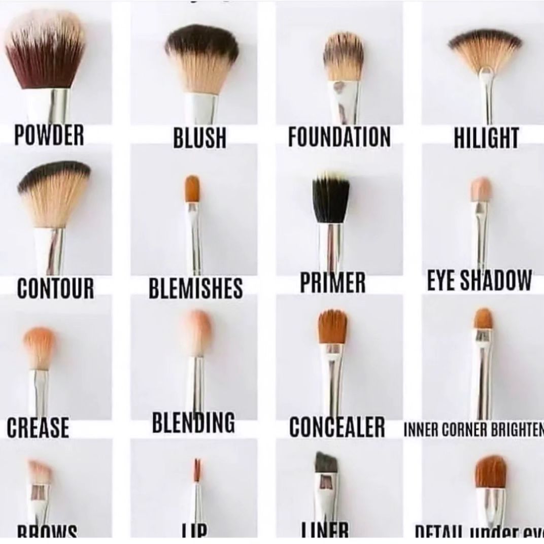Types of make up brushes 🖌️🎨
aura_beautique 
.
.
#aurabeautique 
#auraacadamy07 
.
.
#makeup #makeupartist #makeupbrushes #share #ik #likesforlike #like #beauty #newmakeupartist #learn #fallow #people #post #instagram #instagood #beauty  #mua #makeuoknowledge #hardwork #followforfollowback