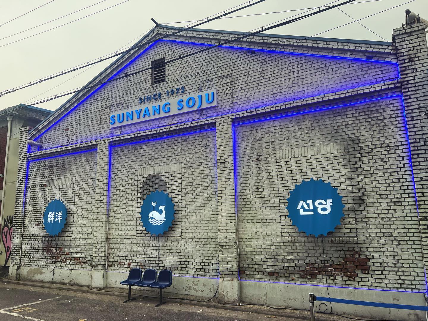 성수 선양 팝업스토어

보트라는 신박한 컨셉과 선양소주 캐릭터 고래의 만남 ㅋㅋㅋ

재밋고 신선했다