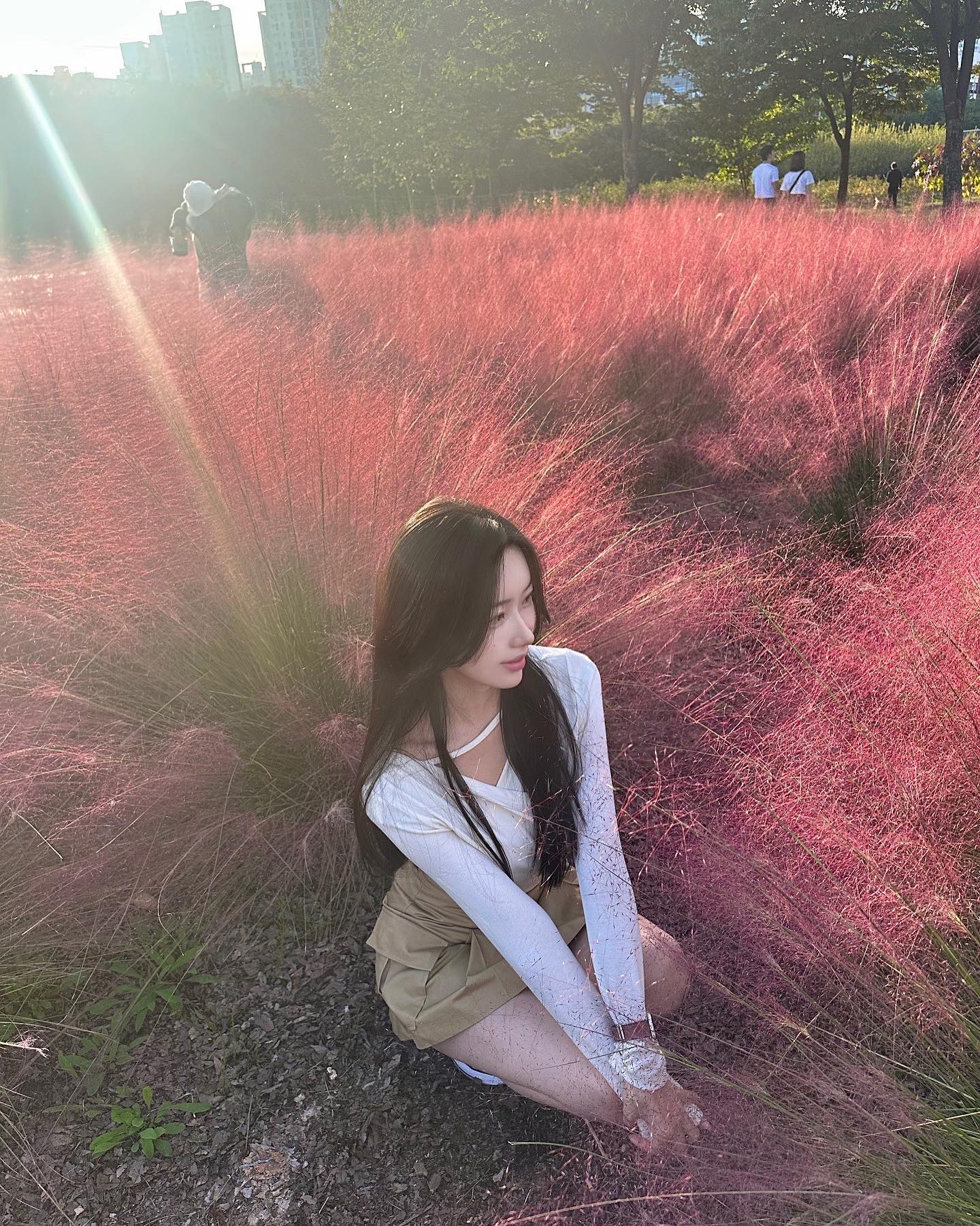 핑크뮬리 처음 보러와서 신나버려찌〰️
•
•
🪵하남 조정경기장 공원
#핑크뮬리#핑크뮬리맛집#가을코디#🍂