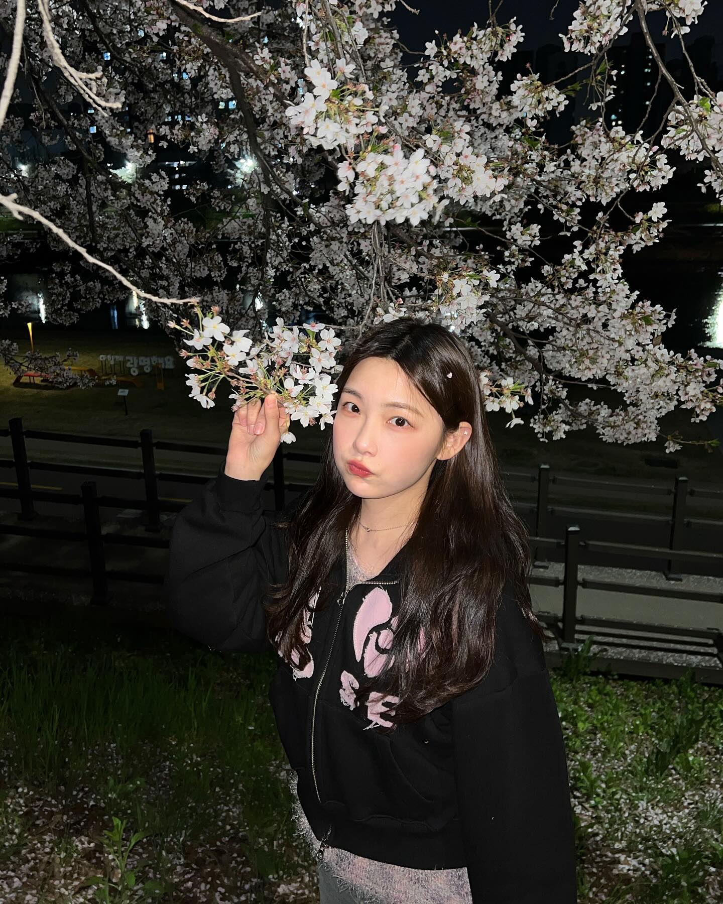 나이 들수록 잠이 없어진다는데 저는 계속 늘어요 ..ㅠ~
겨우겨우 본 벚꽃들 😋,,