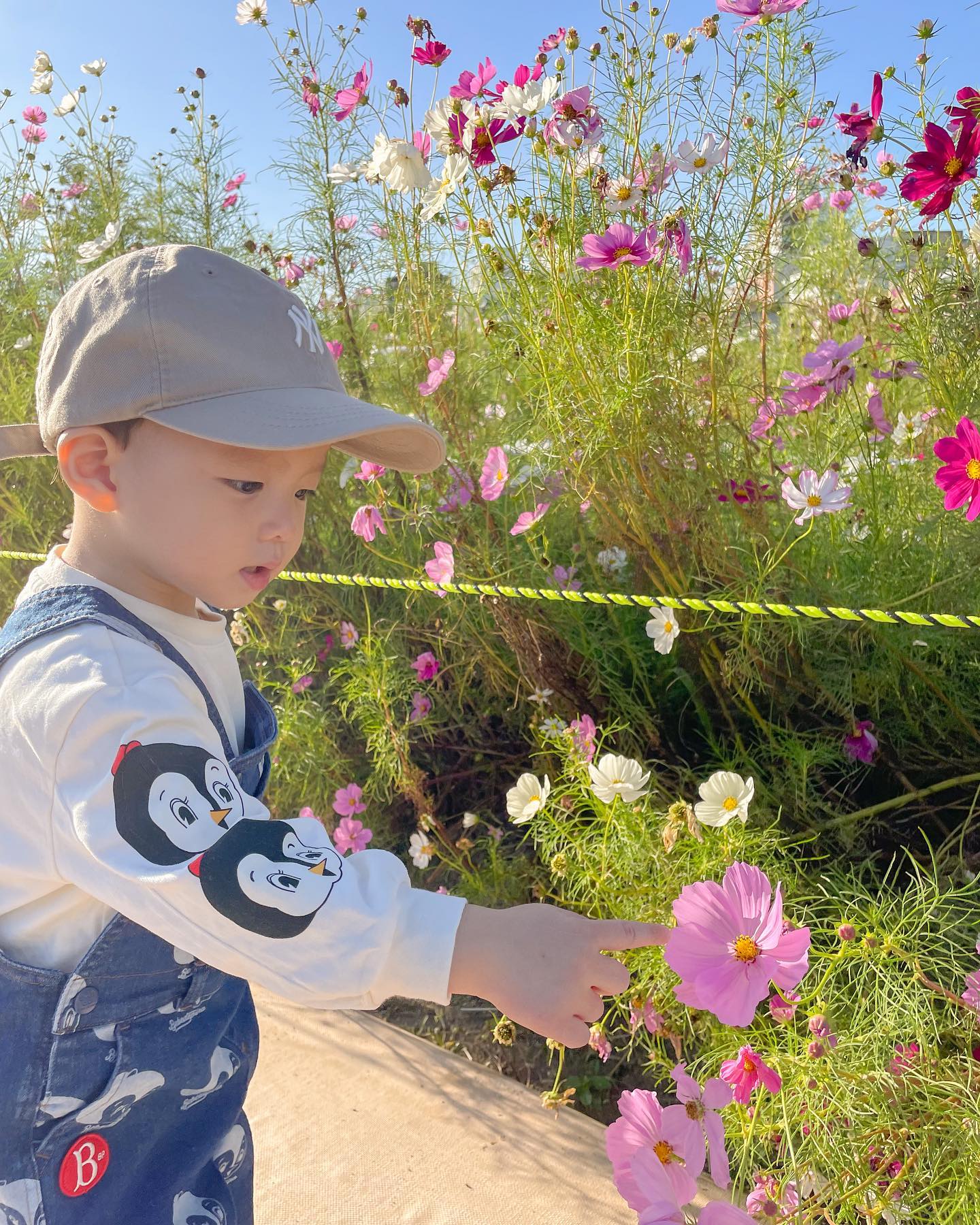 꽃보다 허니🌸
.
꽃 볼땐 그렇게 진지하더니 짹짹이 밥먹는 모습에 좋아 함박웃음😆
코스모스보단 짹짹이💛
조만간 동물원 나들이 다녀오자 울애기😘
.
.
#울산태화강국가정원 
#코스모스 
#가을산책