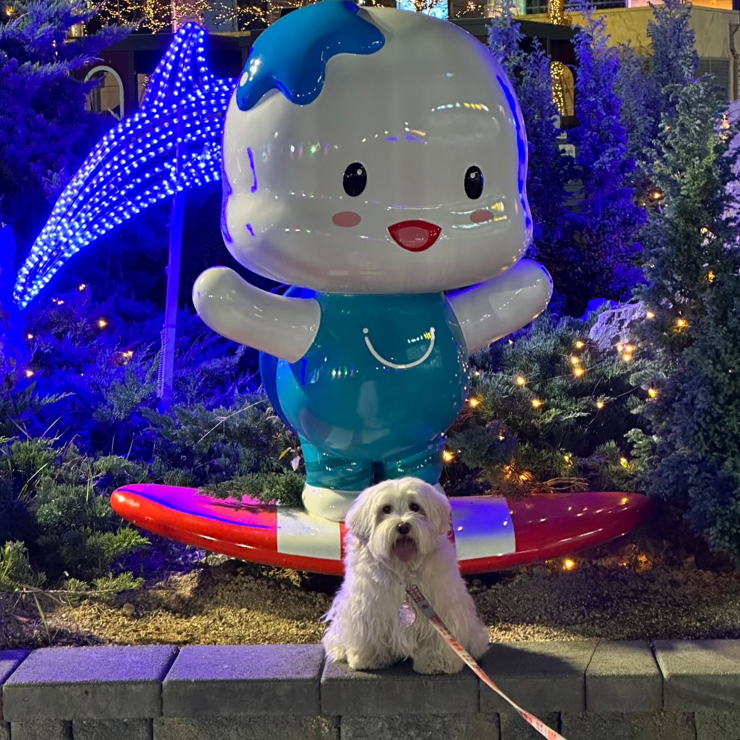 나눈야 앙꼬핑🌊
