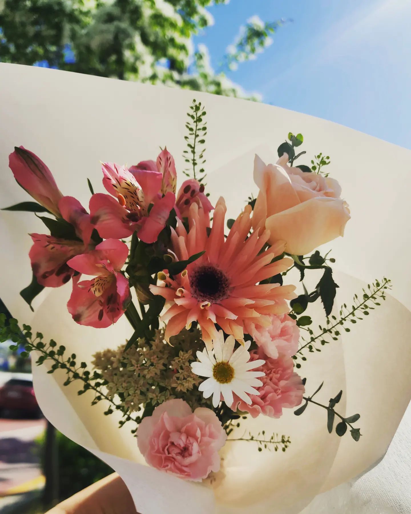 🌸

이쁜이들 어여 집으로 가자!

#장미
#냉이
#거베라
#마가렛
#카네이션
#알스트로메리아