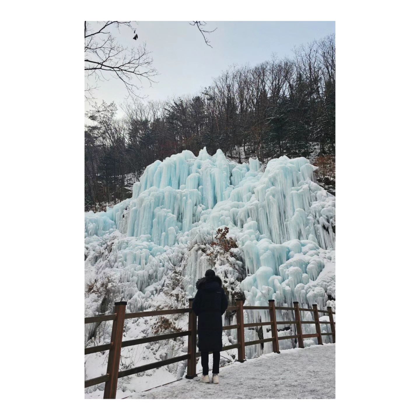 ♥︎

날씨가  너무 추워서  후다닥  사진만 •ᴗ•

#어비계곡
#어비계곡빙벽

#인생샷명소
#핫플 

#같은사진같지만다른사진