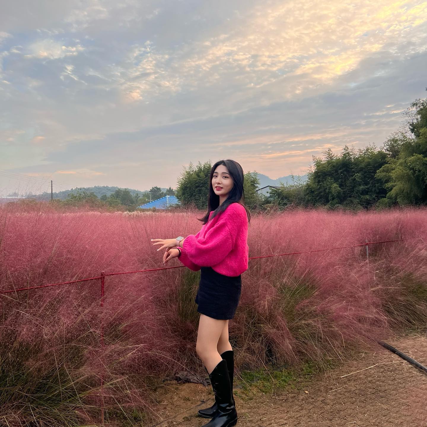 핑크입구 핑크뮬리 보기💓