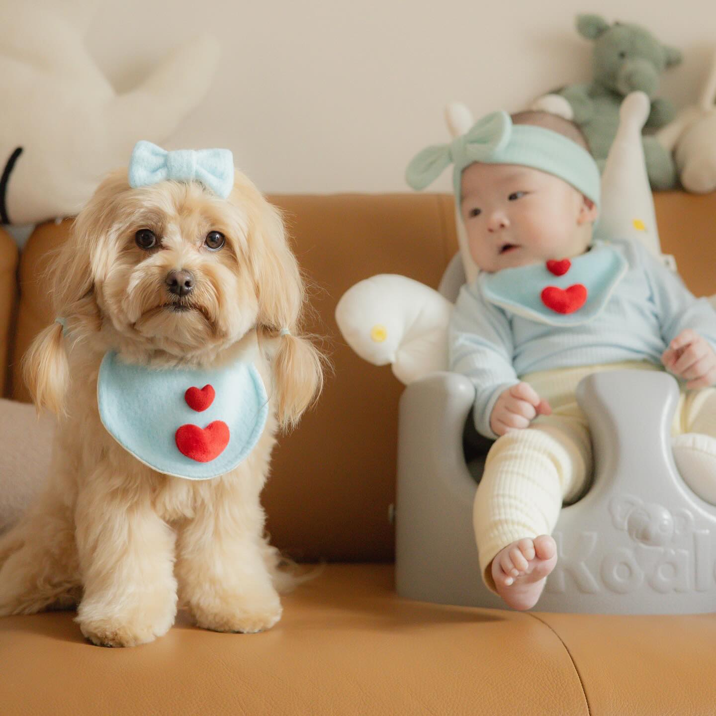 드디어 코니형아와 첫만남! 🐶
형아의 머릿결을 호시탐탐 노리는 대머리 용맹쓰 ..🤣 안돼..

머리를 땡겨도 짖지않고 묵묵히 참아주고 
용맹이 걱정해주는 어른 코니 형아 역시 최고야 👏🏻

코니맘님(designerkei ) 준비해오신 #턱받이 
넘 귀염뽀쟉 이자나용 ❤️🩵 

또 만나요 🫶🏻✨

#애개육아 #아기와강아지 #육아스타그램 #육아소통 #아기스타그램 #턱받이 #babyanddog