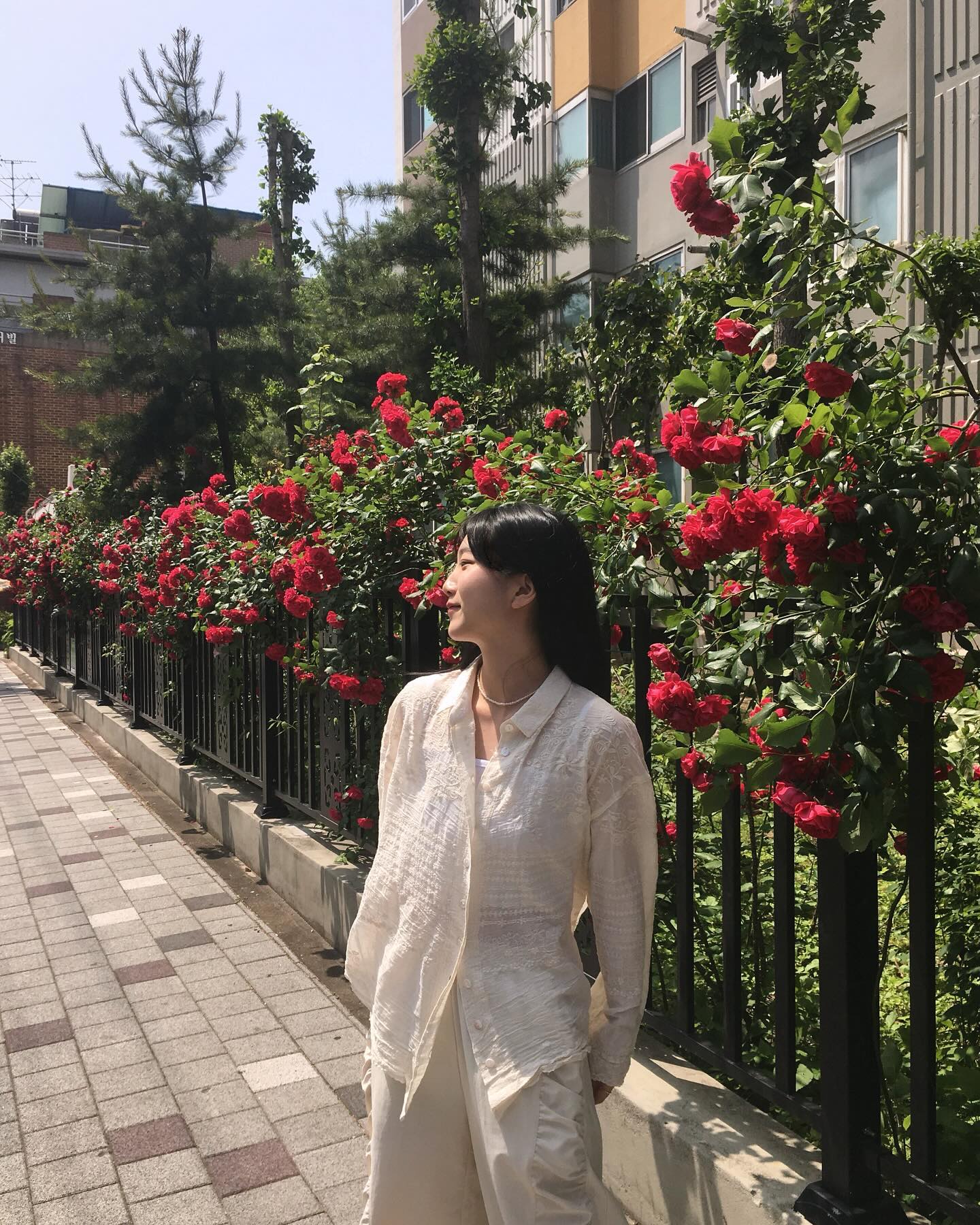 🌹
