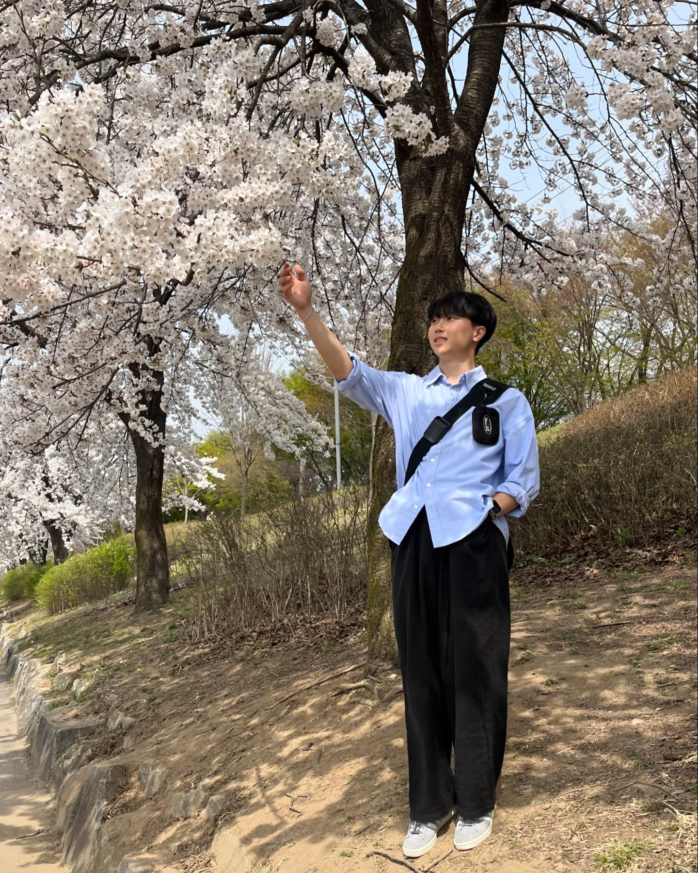 🌸

#벚꽃#봄#꽃구경#대학생#한림대#공지천#춘천#ootd