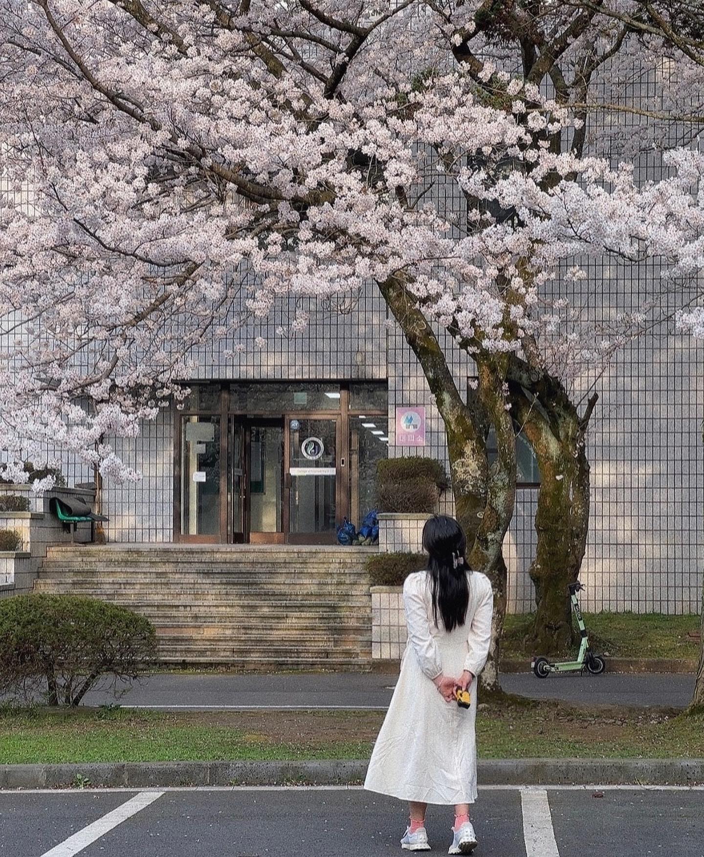-
4월의 시작이 좋다🌸
.
.
이거 마치 달고달디단 밤양갱🌰