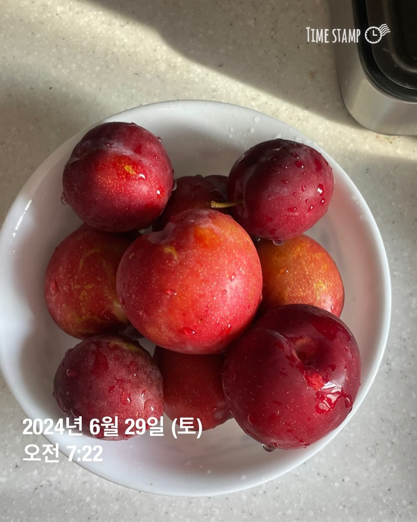 (식단일기 D+69 : 폭식)
- 오늘의 몸무게 : 64.65kg
- 오늘의  운동 : X 
- 아침 : 자두 1접시
- 점심 : 순수마들렌 1개 + 글레이즈 도넛 1개
- 간식 : 김치 3조각 + 송편 6알 + 박카스맛 젤리 3알
- 저녁 : 수제 베이비슈 1접시 + 수제 초콜릿 3개