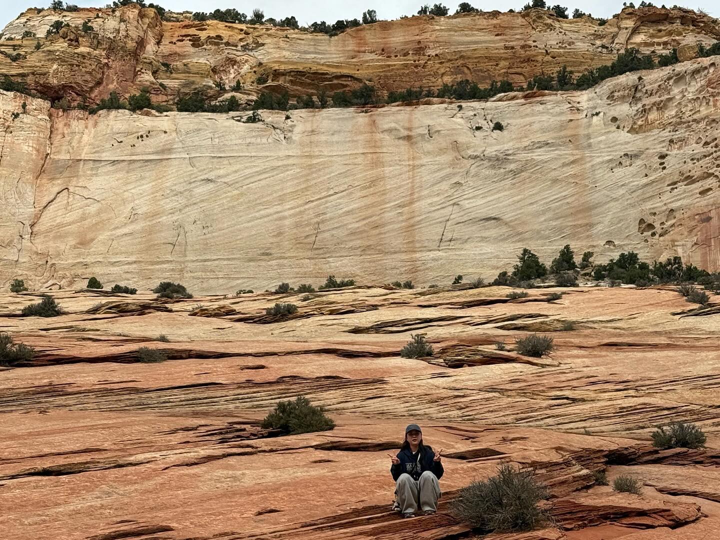 #8일차 두번째 #zioncanyon 
캐년투어 마지막! 시온캐년🥹

경사가 사진에 보이는 것보다 가파릅니다?
나.. 고소공포증있구나를 알게 해준 곳..
포토스팟만 보고 올라갈 땐 몰랐는데 내려다보니까 무서워서 눈물찔끔 ㅠ 🥹
꼬맹이들은 스파이더맨마냥 쇽쇽 잘 올라가고 엄마빠들은 그만하고 내려오라고 소리침 ㅋㅋㅋㅋㅋ😅
캐년투어하면서 느낀건
나 자연좋아했네?🍀🌳🌴🍃🏰🍂🦗🤎
2박3일 너무 아쉽고 돈 많이 벌어서 또 와야지~🤍🤍