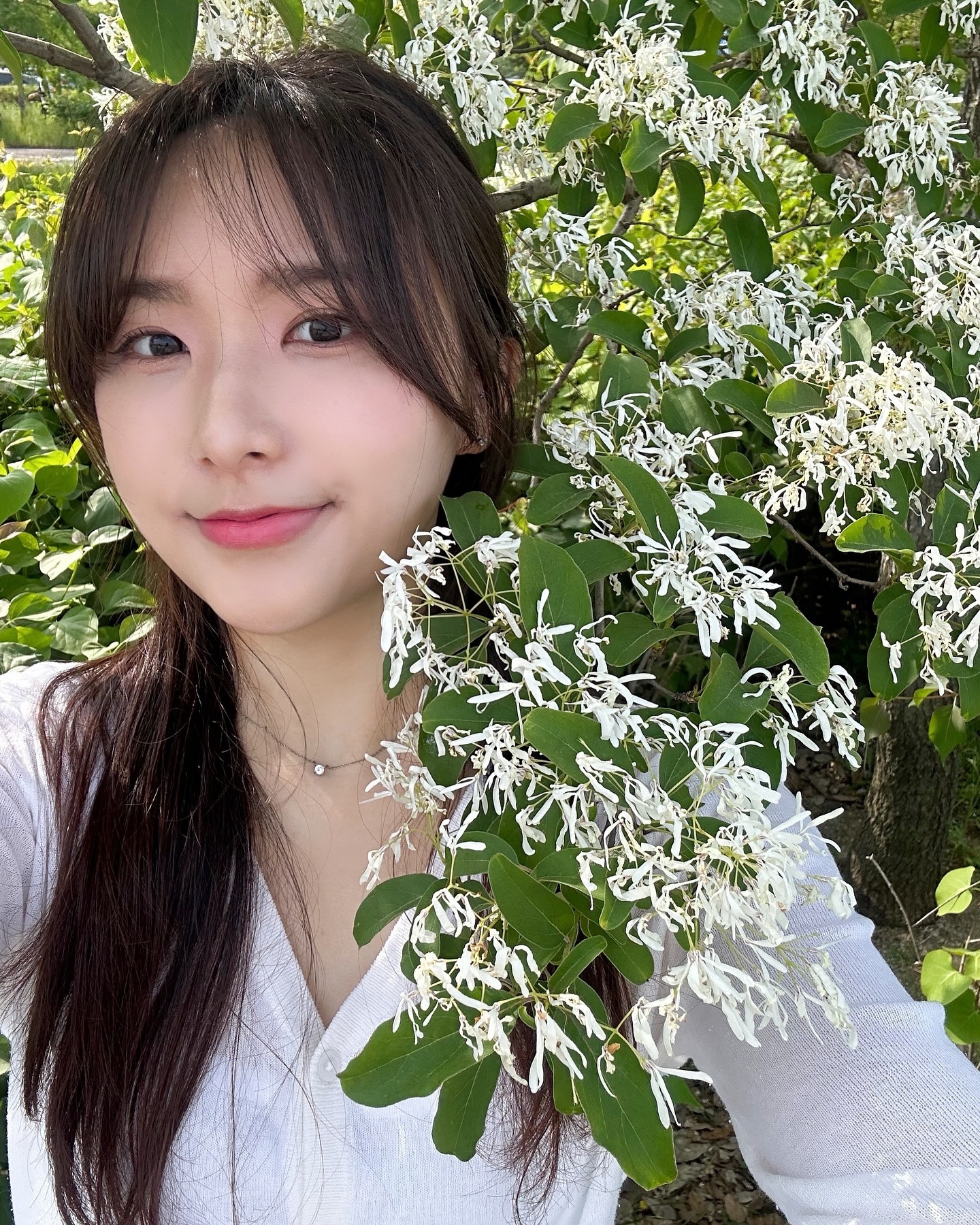 얜 이팝나무야🌱