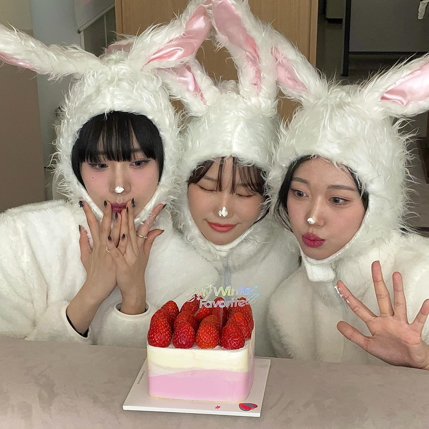 컨셉의 노예들 🐰