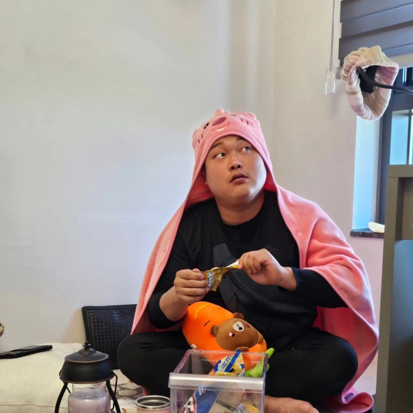 D+31~33

짐정리하는데 와서 내 루피 담요 두르고 내당근인형 껴안고 내가방 매고
배고프대가지고 과자줬드니 내가 좋아하는거만 빼먹는거봐 😮‍💨
놀러가서 사진찍자할땐 안찍드만 🤨 갑자기 들이미네 
담부턴 찍자하믄 이쁘게 착하게 좋게 찍자잉