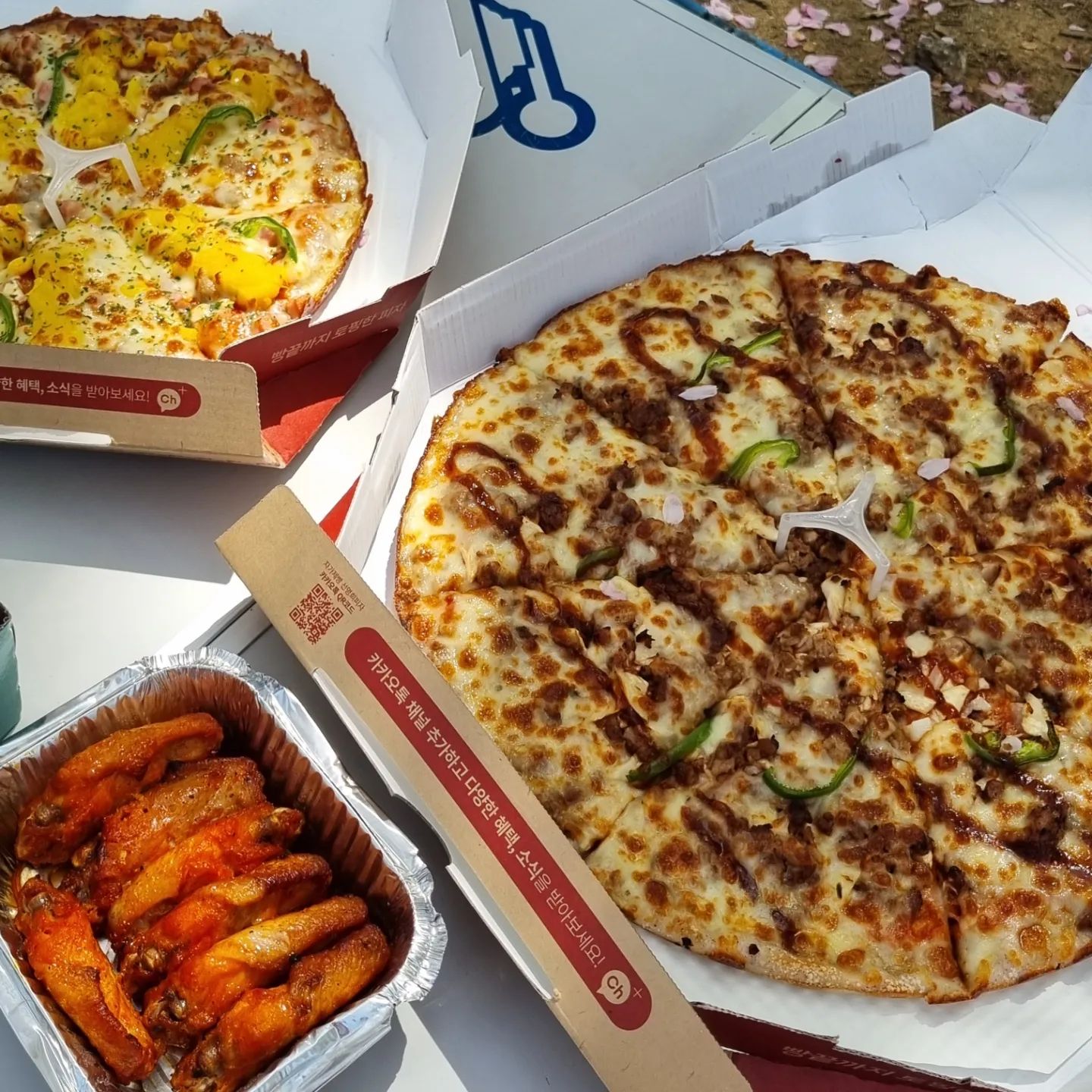 벚꽃 피크닉엔 피자

날씨 좋아서 피자 들고 호공 나왔어요
피크닉메뉴로도 최고다아 🌳🍕

선명희피자 최애메뉴 바싹불고기랑 고구마무스피자 🍕 
오늘 아침까지만해도 살뺀다고. .분명 그랬는데? 밖에나오니 더 맛있어서 네쪽 먹어버린 나 🤣😲

저희 초딩이는 선명희 바싹불고기피자랑 핫윙 젤 좋아해요~배부르게 점심먹고 다같이 자전거로 호공 한바퀴 돌았어요 !

호공 지금 꽃박람회 준비로 한창인데, 낮에가도 밤에가도 너무 예쁘고좋아요. 맛있는거 챙겨서 꼭 가보세요~

- 이 게시물은 자가제빵 선명희피자 제품과 수수료를 지원받아 작성된 글입니다 🫶

#선명희피자 #선명희피자일산주엽점 #일산피자맛집 #공원나들이🌳 #호수공원피크닉
#써니포터3기