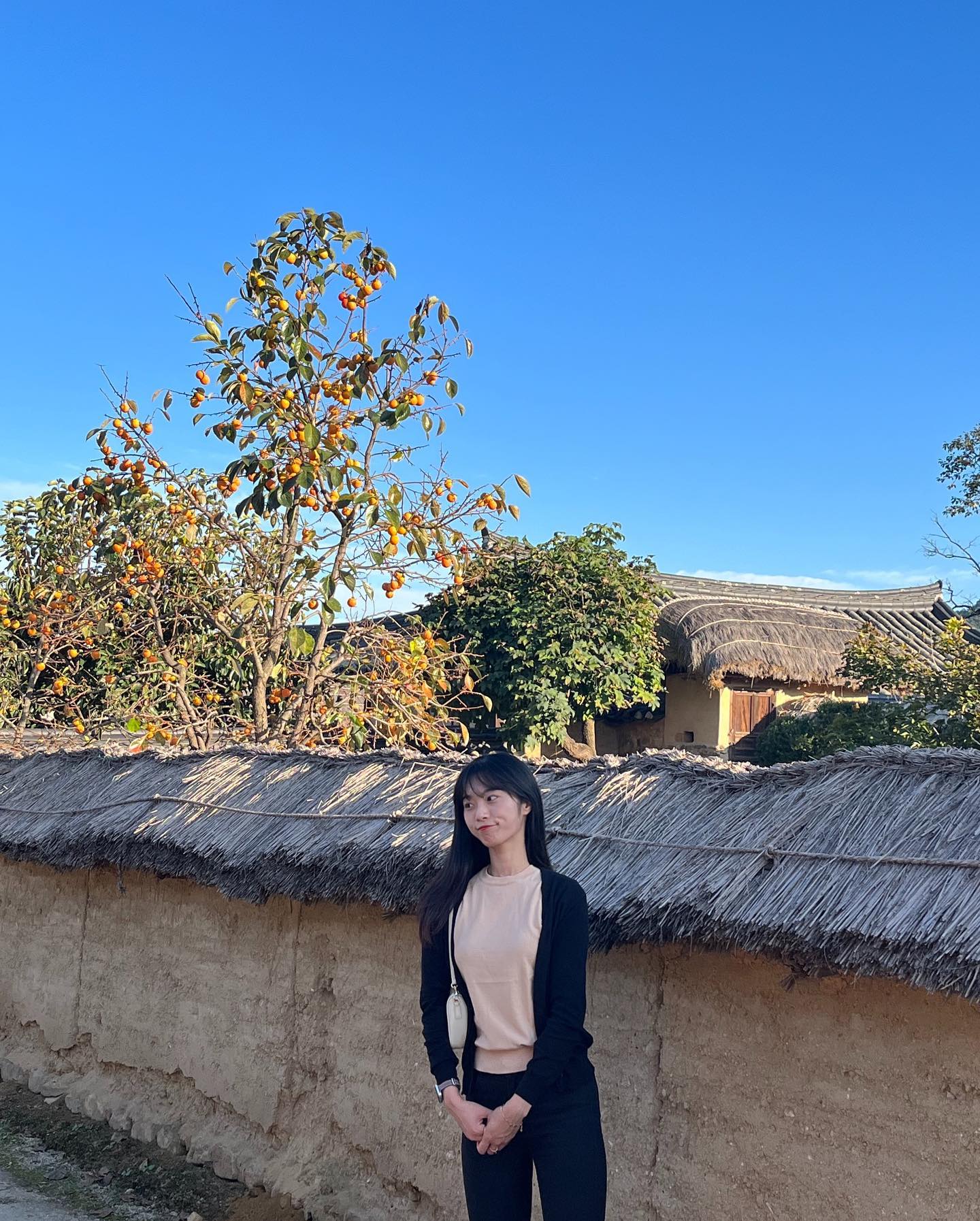귀농도 나쁘지 않을듯

#안동 #안동하회마을