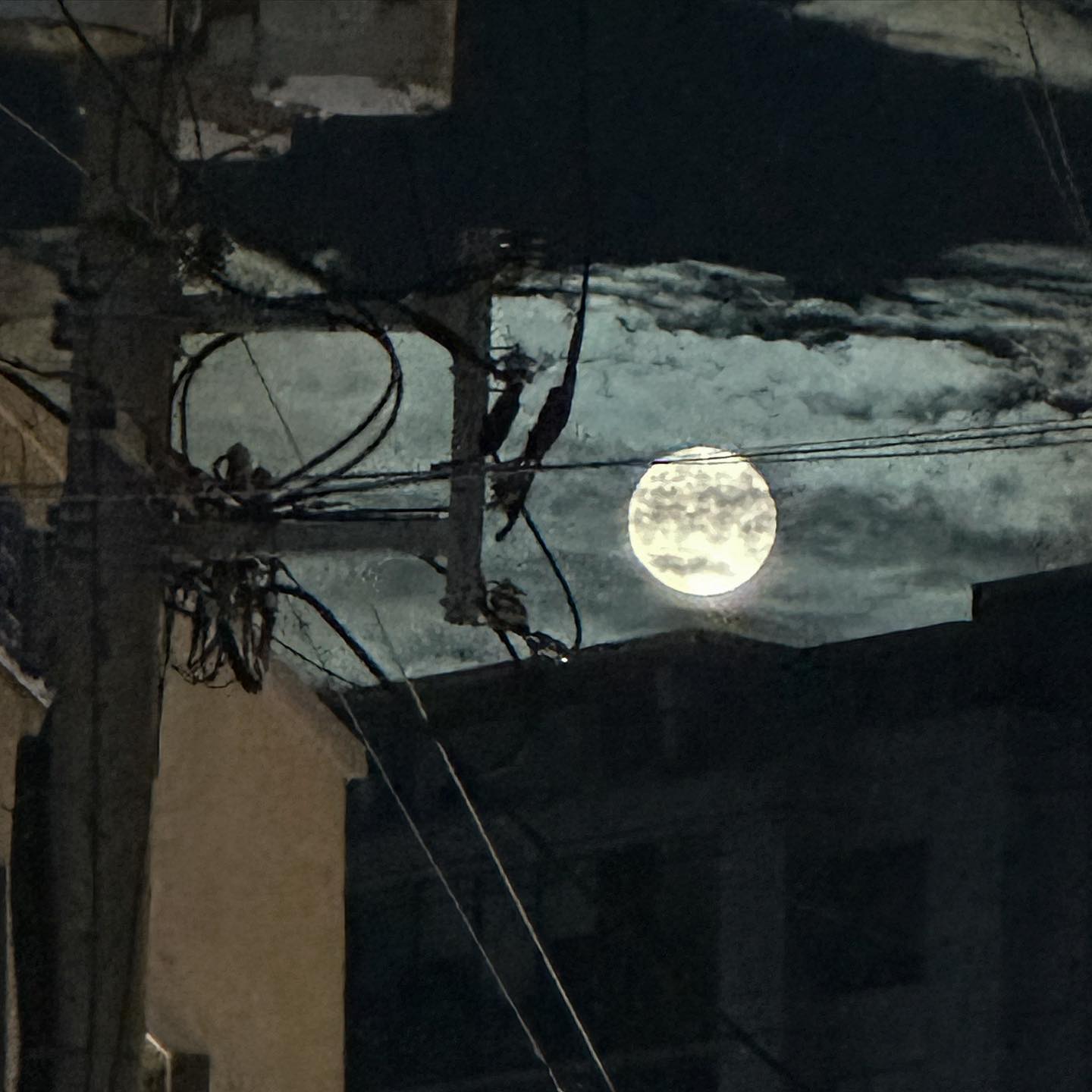 つき
