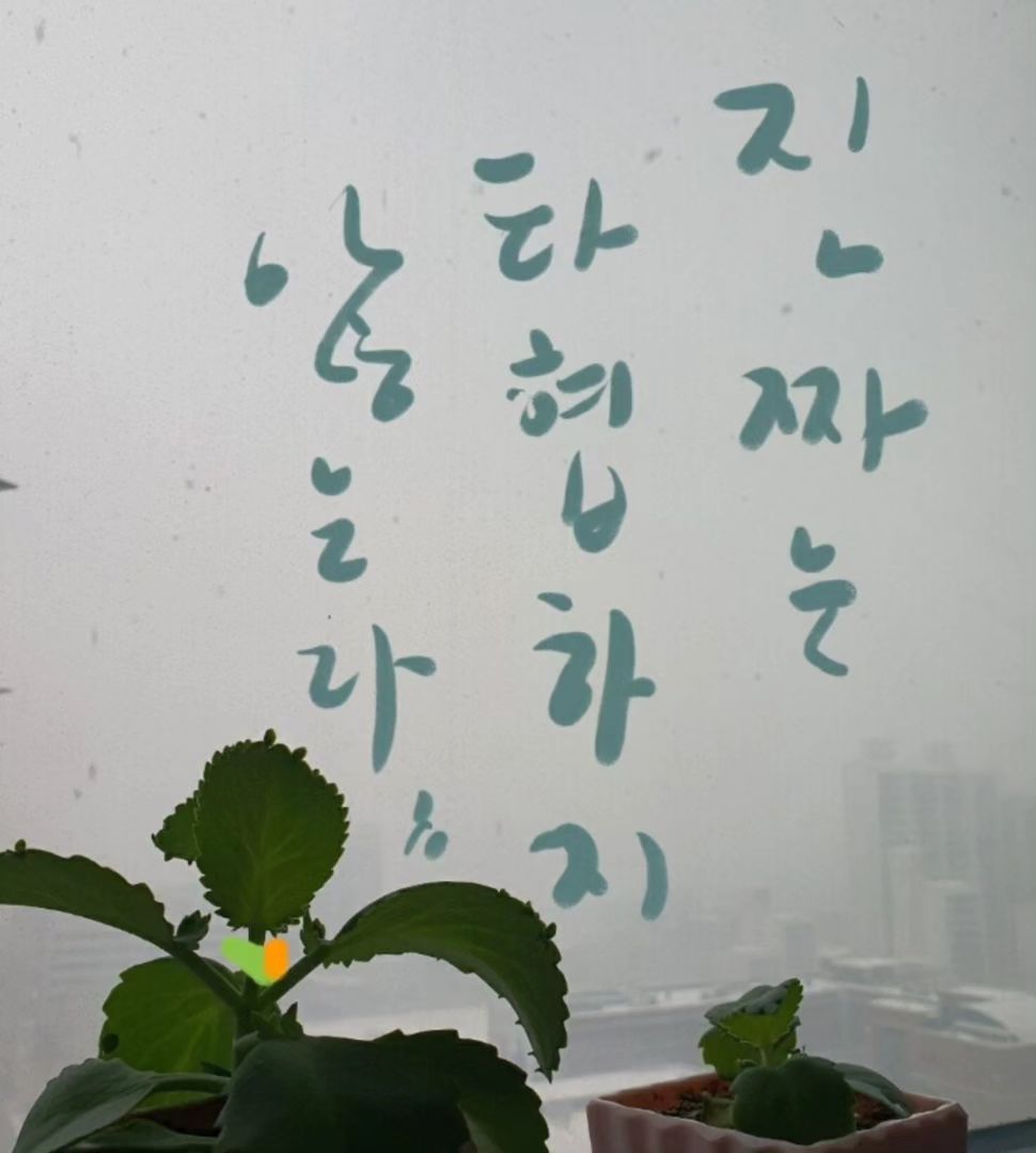 현명한 인생을 살고 싶다면 목적만은 절대로 타협하지 마라.
반면 목적을 위해서라면 목표나 수단에는 언제든지 타협할 줄
알아야 한다. 그러면 자존심을 내세우면서 억지로 고집을 부리지 않을 것이다. 왜냐하면 목적을 달성하기 위해 자신의 잘못도 인정할줄 알아야 하고, 다른 사람들의 조언도 받아들일 줄알아야 하기 때문이다. 우리는 실패를 반복하면서 성장한다.
실패는 아무런 문제가 되지 않는다. 중요한 것은 꺾이지 않는
마음을 가지고 목적을 위해 최선을 다하는 것이|다.
.
.
.
몽말인지 알지?
중꺾마 ok?!
#좋은글 #좋은글귀 #책스타그램 #북스타그램 #명언