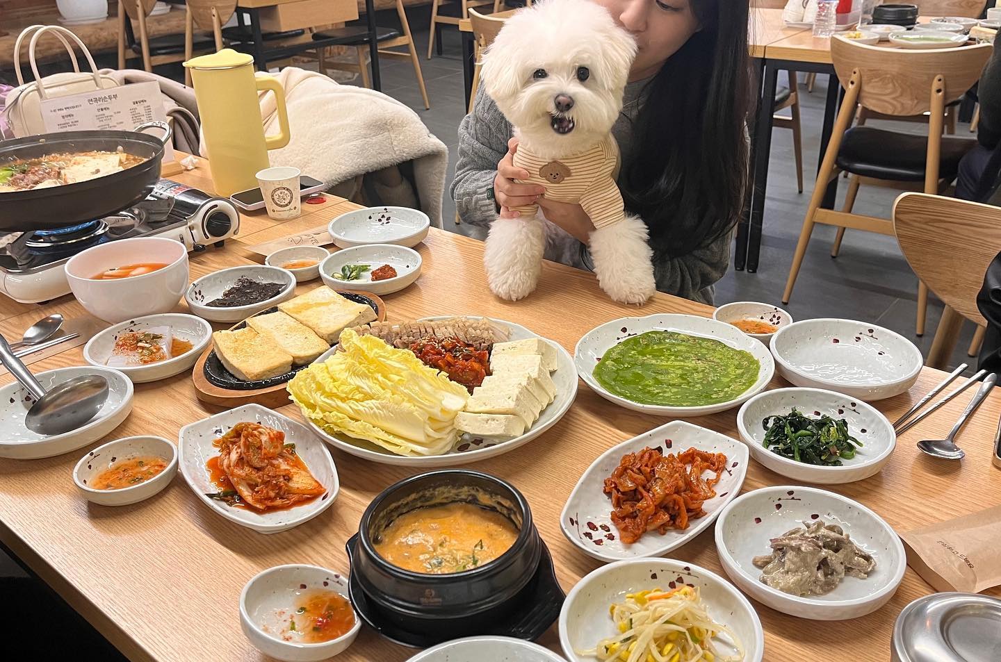 힝 맛있어 보이개🐶🐶🤧 연곡리에 새로생긴 두부집 ..
친구 어무니가 직접 아침부터 두부 만드신다구 진짜
두부 퀄리티 최고!  반찬도 너무 많아서 배가 터진다..감사해용🫶
이 날 청바지 단추 풀었다 ..💝남은비지는 무료로 주시구..🥺❤️
(고객들에게 무료입니다!💝)
이거진짜 안남는 장사야.. 잘맞춰오면 봄이 걷는 개인기 볼수있개🐶
(희귀…)

❤️연곡리 손두부
❤️경기 양주시 백석읍 부흥로 433 1층
❤️0507-1429-0787