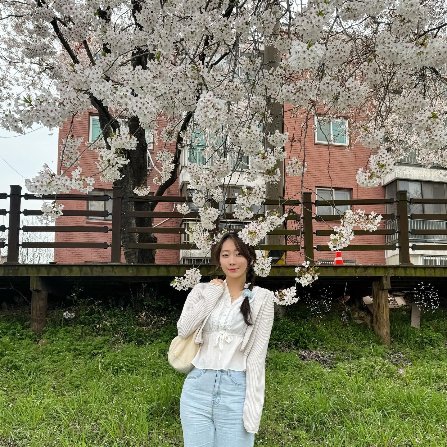 여름 오기전에 사진 호다닥🌸
일끝나고🎵🎶

#해미천 #벚꽃명소 #벚꽃 #🌸 #여행 #행복 #매일오늘만같아라 #99 #꽃놀이
