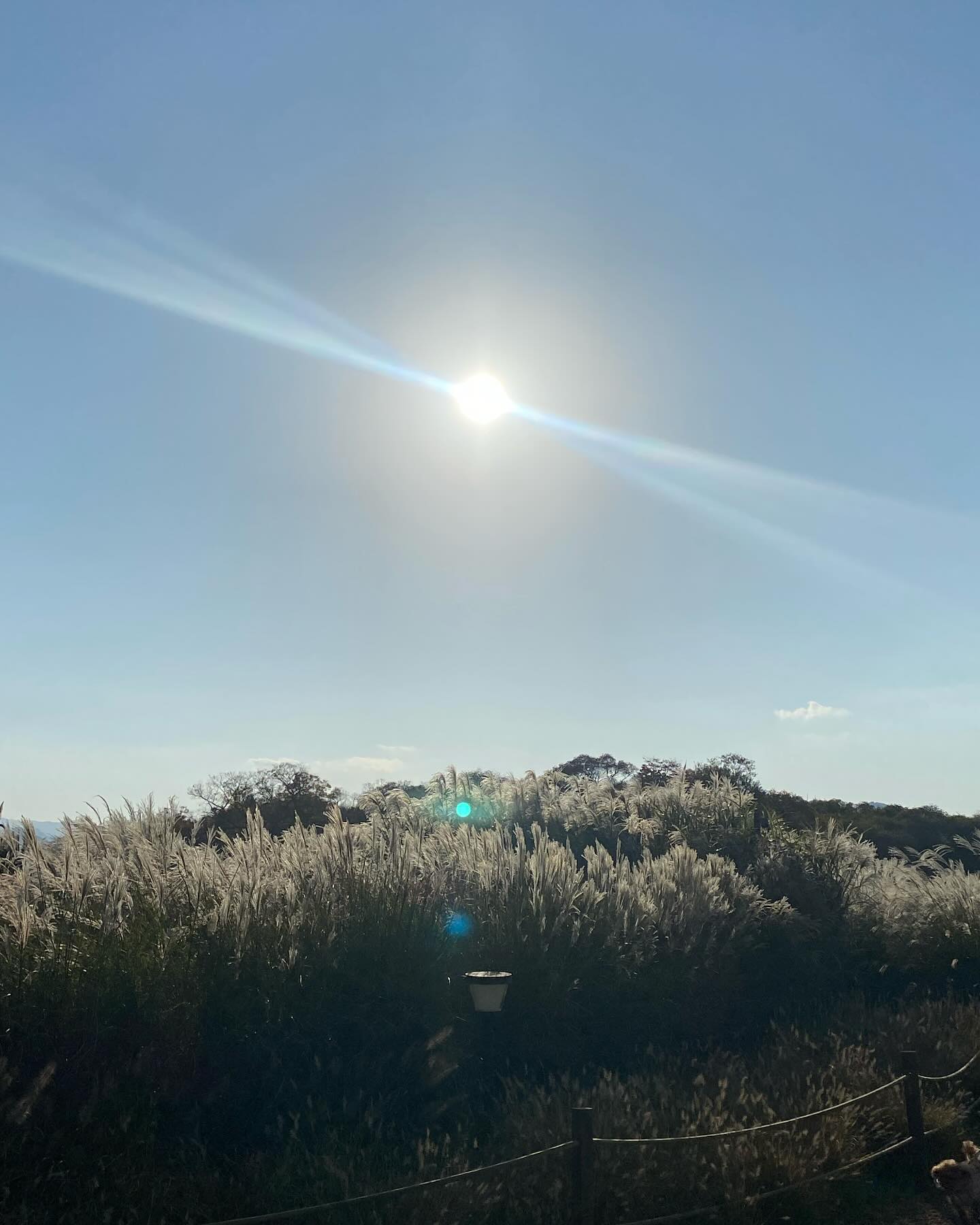 가을은 경주의 계절이지💫
