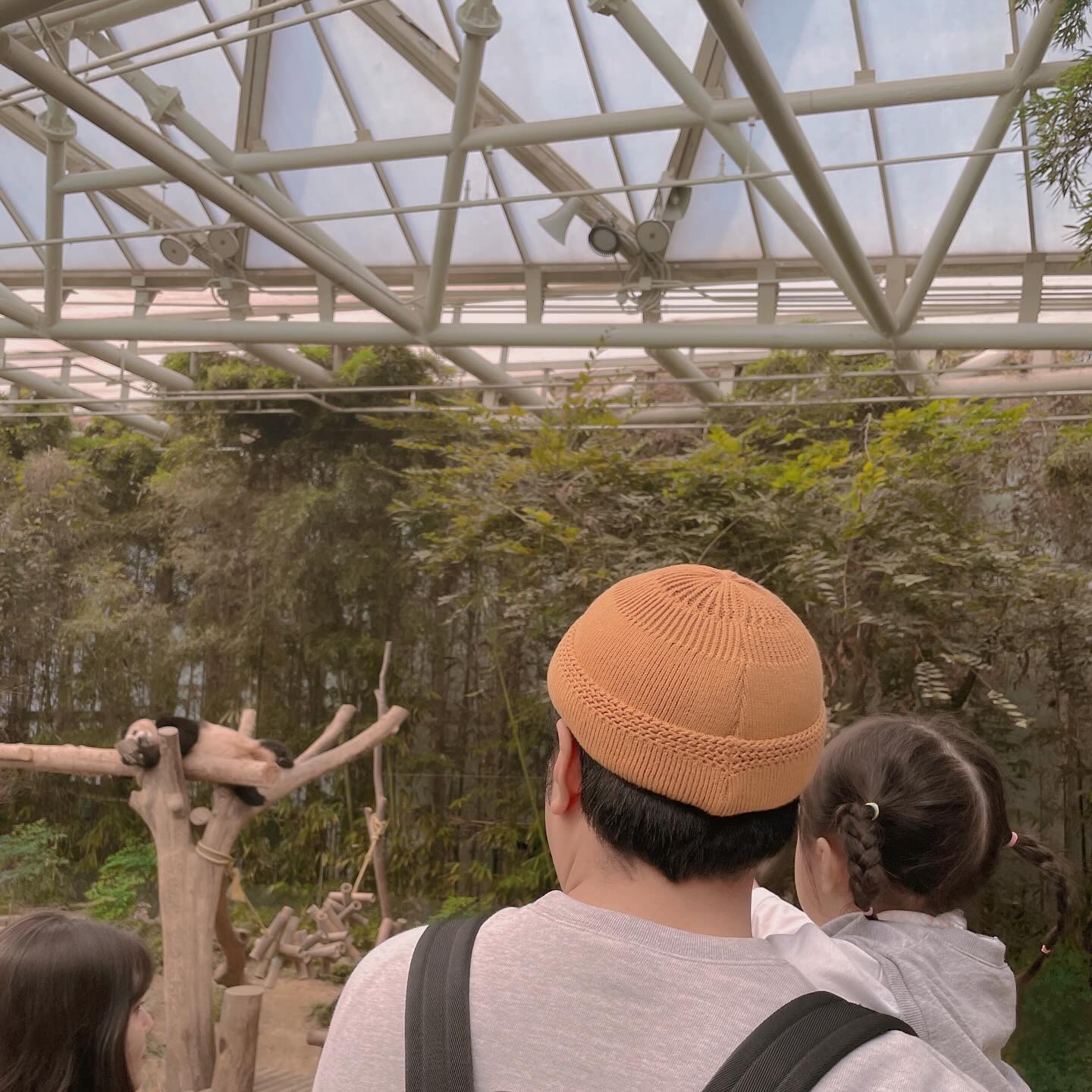 ⠀
우리도 그 유명한 푸바오를 보고 왔어요🐼

비록 자고 있어서 자는 모습만 열심히 보고 왔지만
우리 아기는 자는 모습도 좋다고 무척 신이남∿∿∿