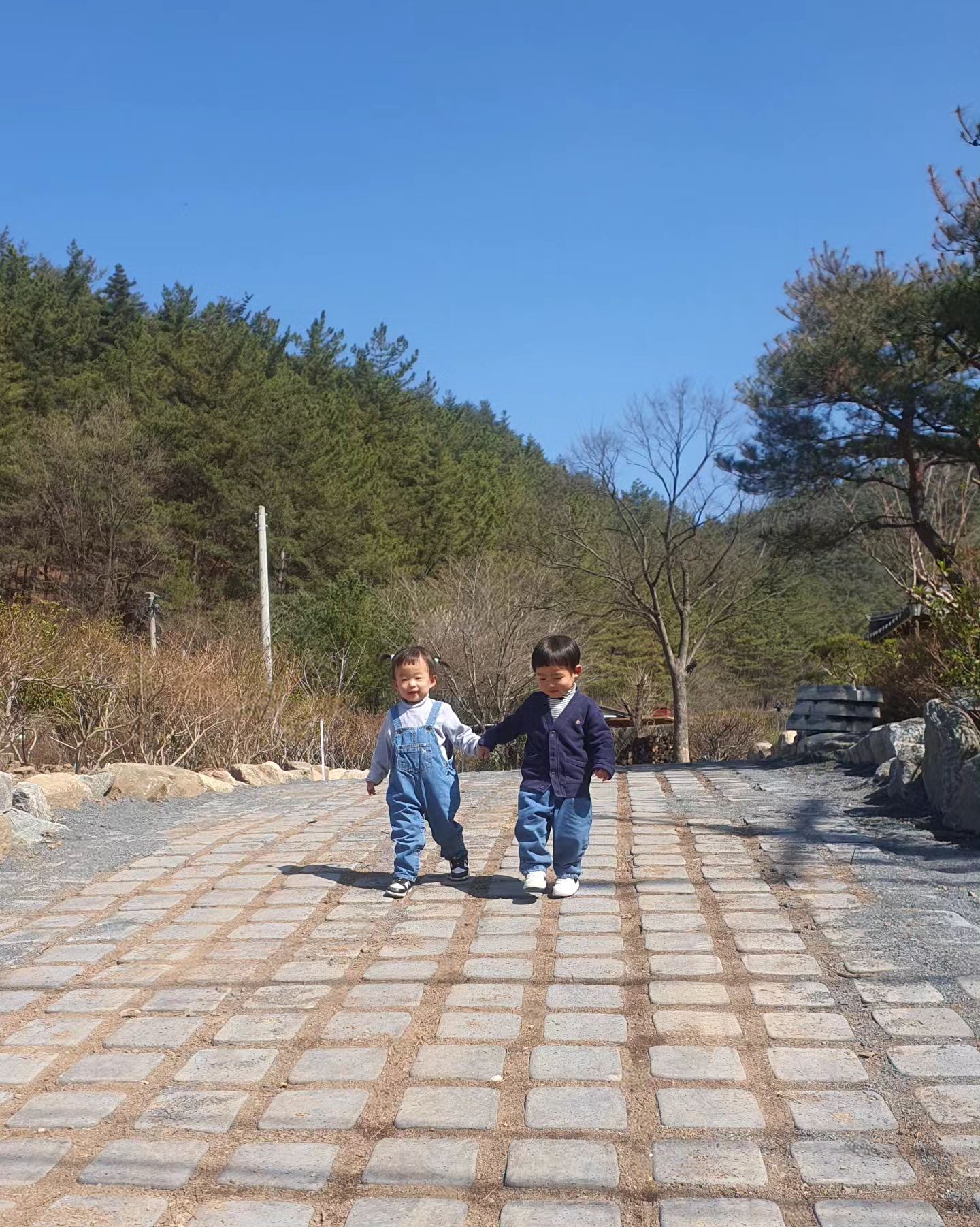 행복한 주말
이번주 토요일도 미술놀이 갔다가 시골집
흙 만지고 자동차타고 엄청 재미있게 보내다 왔다

아버님 생신이 다가와서 떡을 해갔는데
역시 미진떡집은 맛있어
애들도 잘 먹고 든든히 냉동실에 쟁여 둠

아띠는 갈퀴 줬더니 당근 심는댄다 ㅋㅋ
건이도 달래서 옆에 있던 괭이 줬는데 무거운데도 재미있어 함ㅋㅋ

팔랑팔랑 볼살 덜덜 심각한 표정으로 뛰어와 안기는 건이는
너무 사랑스럽고 커엽쓰

#원투27개월
#남매둥이
#쌍둥이육아 #육아스타그램
#주말육아
