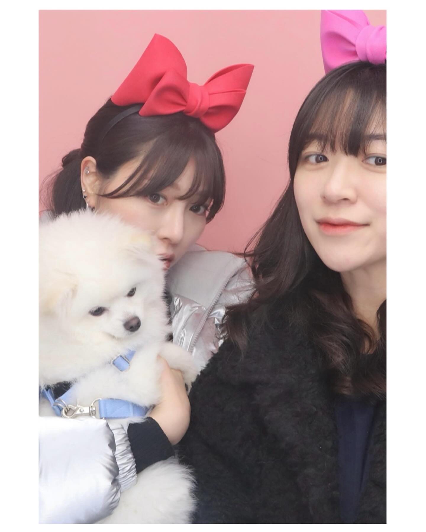 해피2024♥️새해 복 많이받으세요
첫째 아들은 여행갔고
막내아들 데리고 #인생네컷 🐶
한명 빠져도 다섯 대가족🤣
건강하자🧧🍀🙏🏻
우리 모찌 표정 .. 해탈한듯 ㅋㅋㅋㅋㅋㅋ