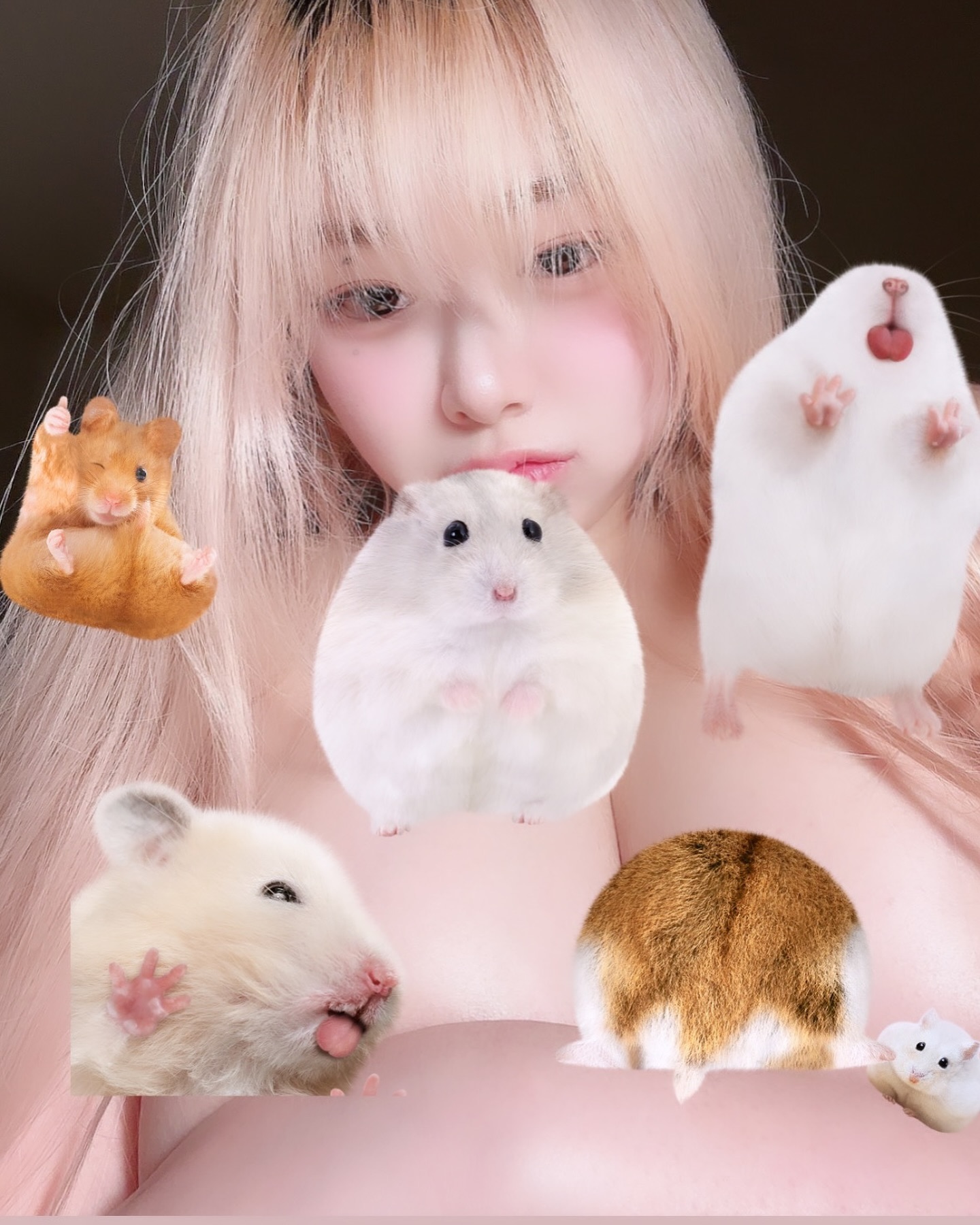 햄스터 너무 귀엽잖아..😲