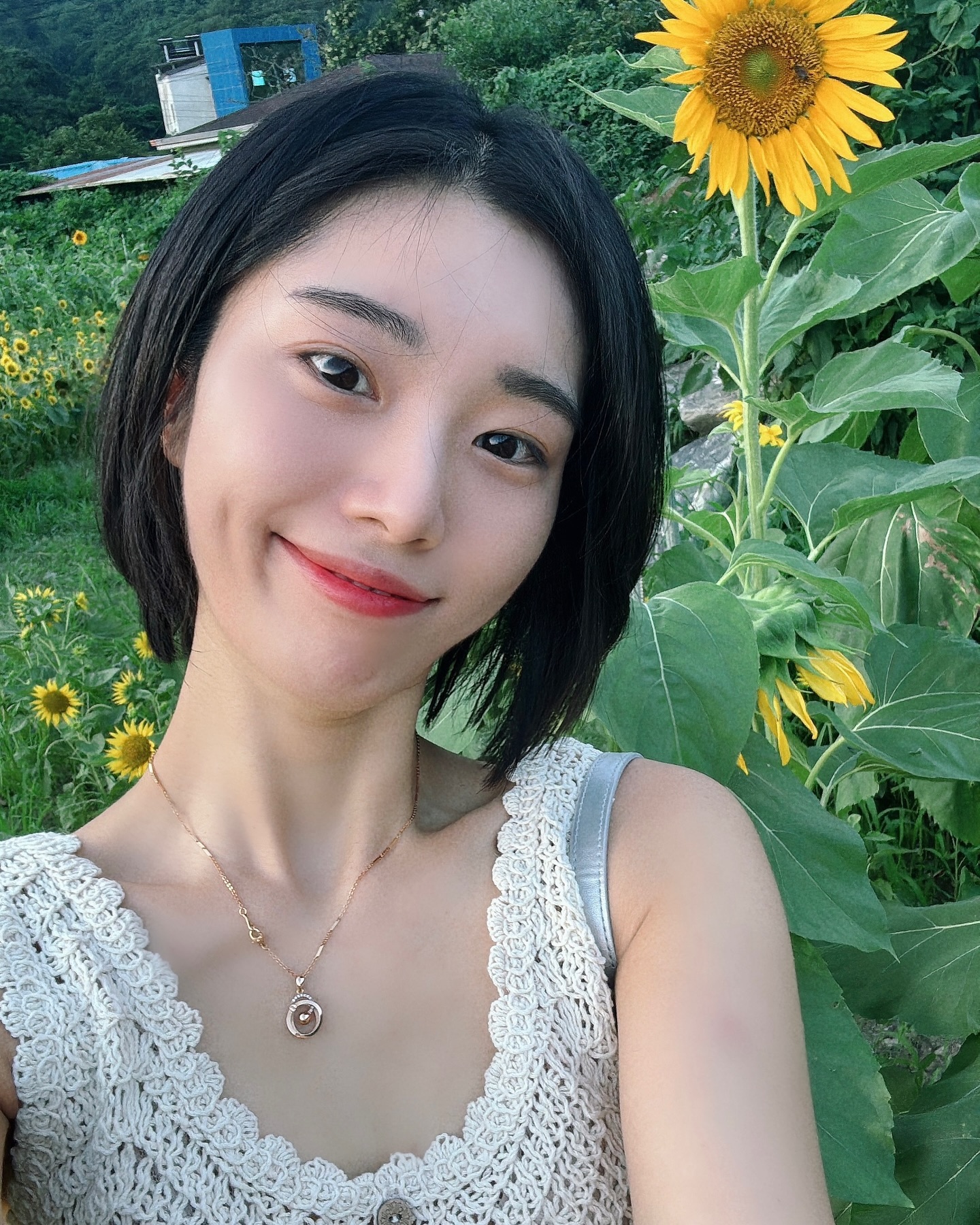 여름이 좋은 또 하나의 이유
예쁜 하늘과 해바라기🌻🌿✨💗

#대구 #월광수변공원 #여름 #해바라기 #🌻