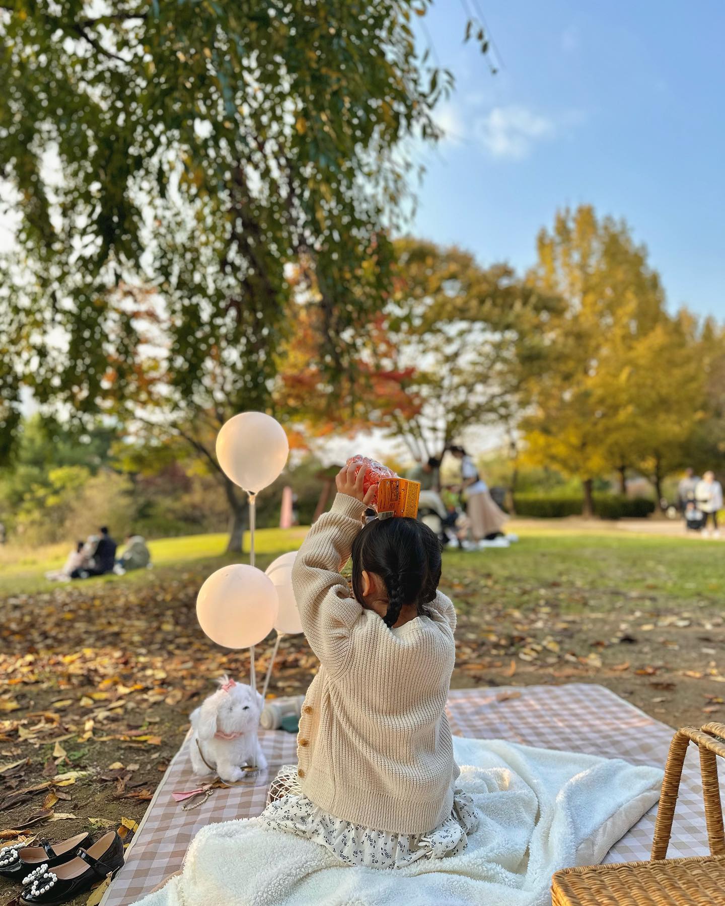 🌾

추워졌나 싶었더니 다시 가을 날 

가을이 가지 않길 바라면서도 
크리스마스를 기다리는 모순된 마음은
저만 그런거 아니죠 ? 😅

좋은 날씨 많이 만끽하시고 행복한 한 주 되세요 ! 🍂