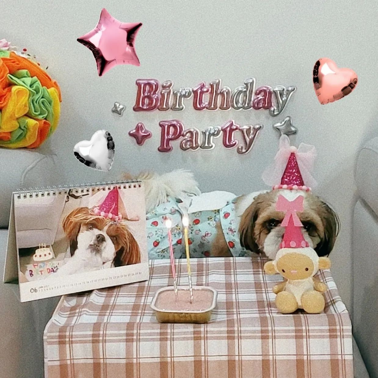 #시츄피망
#생일

06.02.
피망이의 2번째 생일🥳🥳

제일 좋아하는 통조림에 불 키고,
생일 선물로 새 원피스입고,
새 노즈워크공도 받고
햅삐 해삐 해삐🎶

강아지의 날에 피망이가 직접 고른 원숭이인형에 똑같은 고깔 만들어서 씌워주었더니 관심폭발했어요 ㅋㅋ😋

우리 피망이 오늘처럼 
늘 행복하고 건강하자🎂🎂