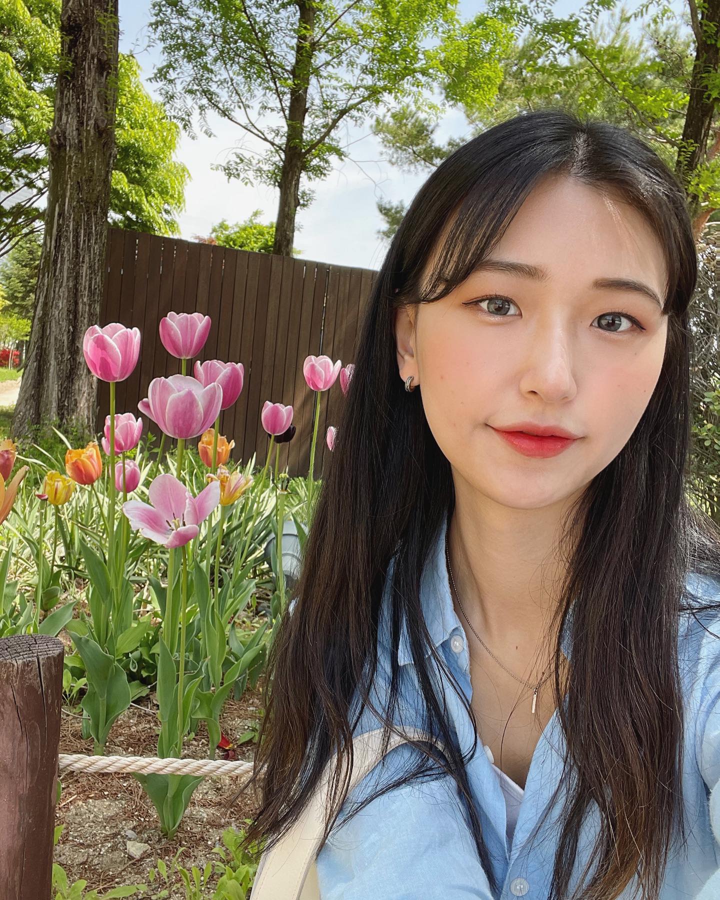 꽃구경 조하🌷