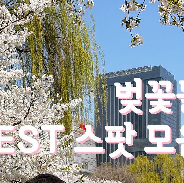 유복이네 on Instagram: "이번주 마지막 열차, 벚꽃 스팟 정리해드려요!🌸💕 (저장만해두시고, 계획 짤 때 열어보세요오-) 직접 다녀온 예쁜 스팟들로 알려드릴게요!😘 1️⃣ 석촌호수 ( 서울