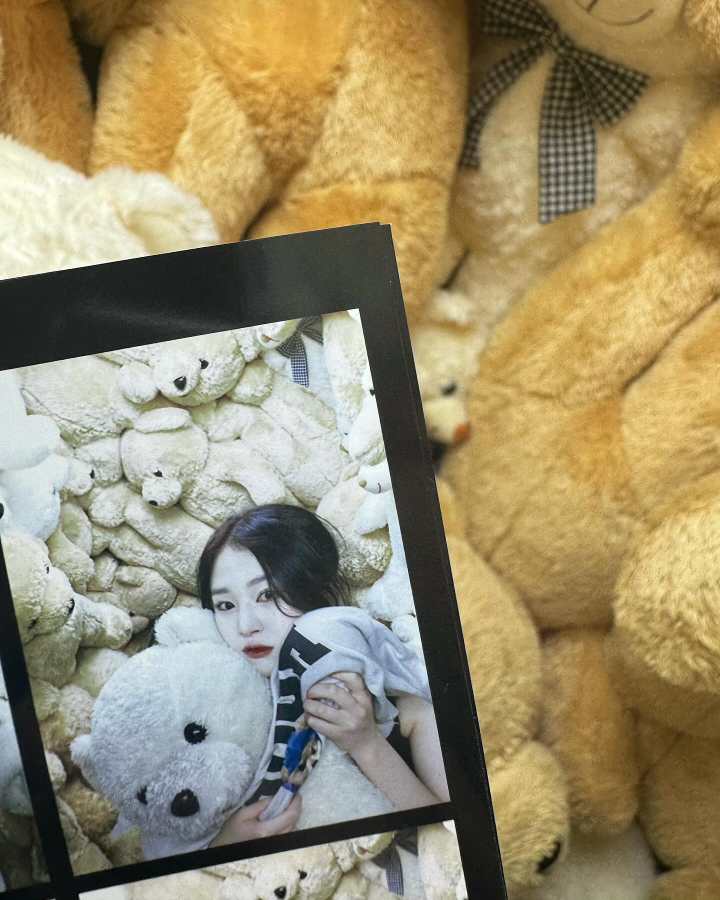 나 기욥찌!