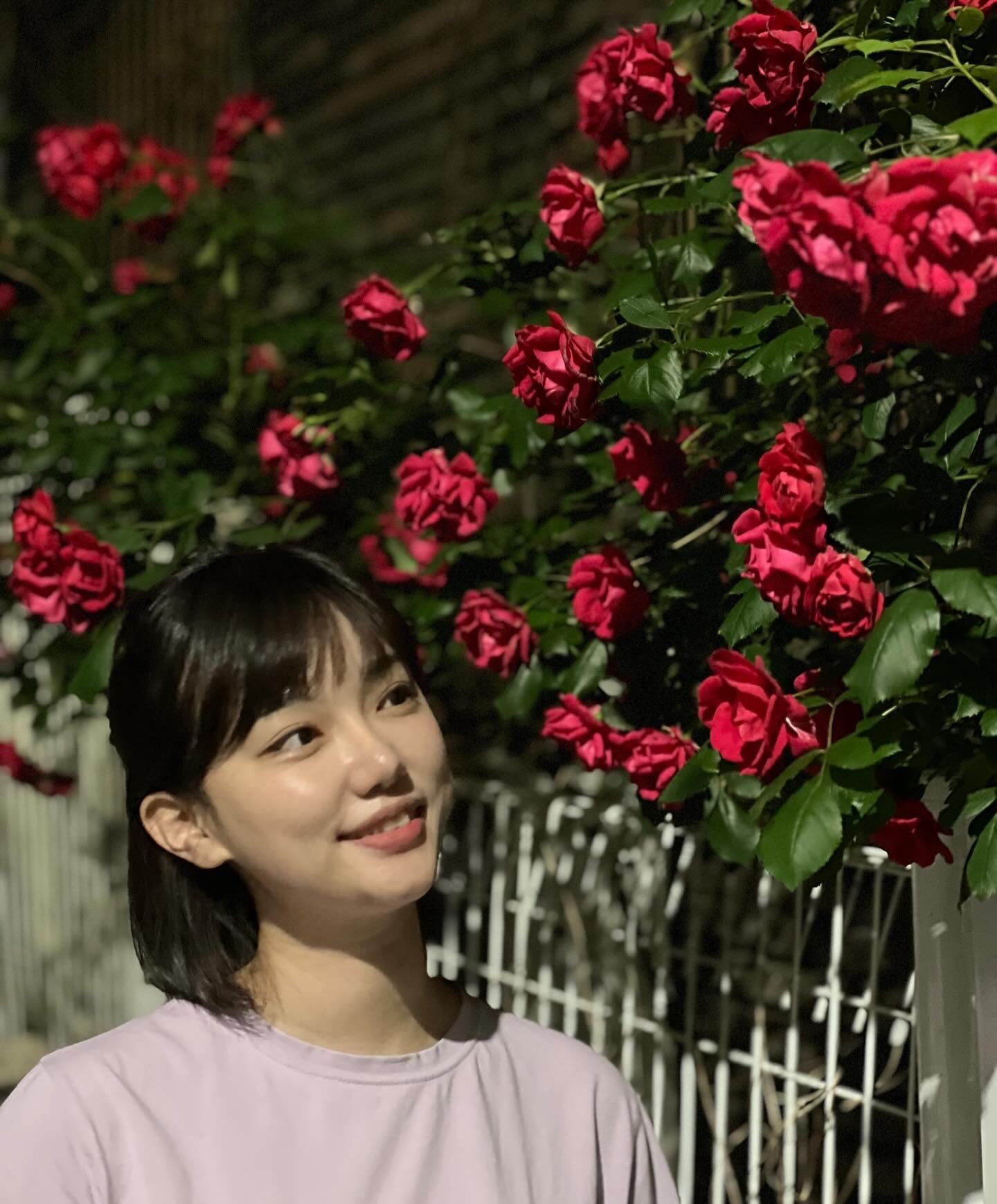 5月の薔薇 ҉*\( ‘ω’ )/*҉
