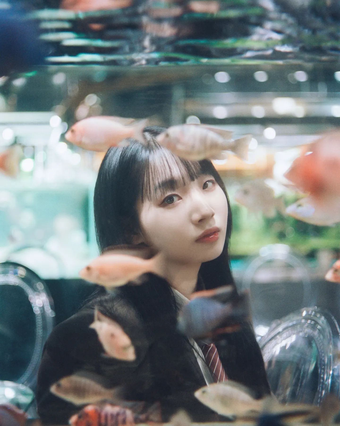 아쿠아가든 🐠