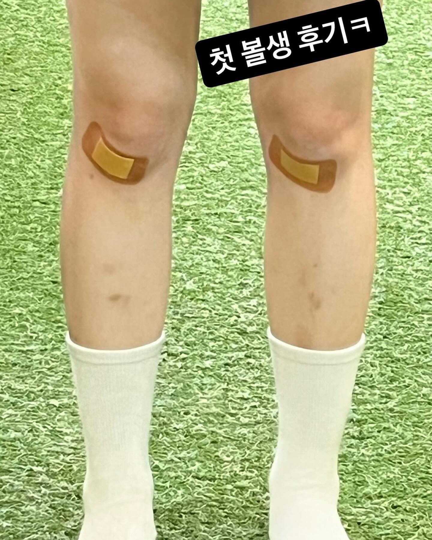 🫶🏻57회차🫶🏻

🩵🩵🙅‍♂️🙅‍♂️ 그외 💚
햄스트링부상..인데..왜 그랬을까
말로만 듣던 맵디매운 볼생..
상상 이상으로 매웠따!!!! 왜때문에 다 기울어진벽 뿐이죠?!?
초록은 무난해도 하늘부터 그냥 넘사..
부상때문이라고 하자....🥲하늘 두개에 만족할래..
볼생은 지구력벽 맛집입니다🥺

3-1손1터짐 새로운 경험이였다..중간에 내려오고 싶었어..
4-발이 떨어지면 무섭다구요2
5-저기서 코디 전 안됩니다. 못합니다.
(6-마자요!!!!!)

암리치 1센치 줄어서 163임🙄

#볼더생활