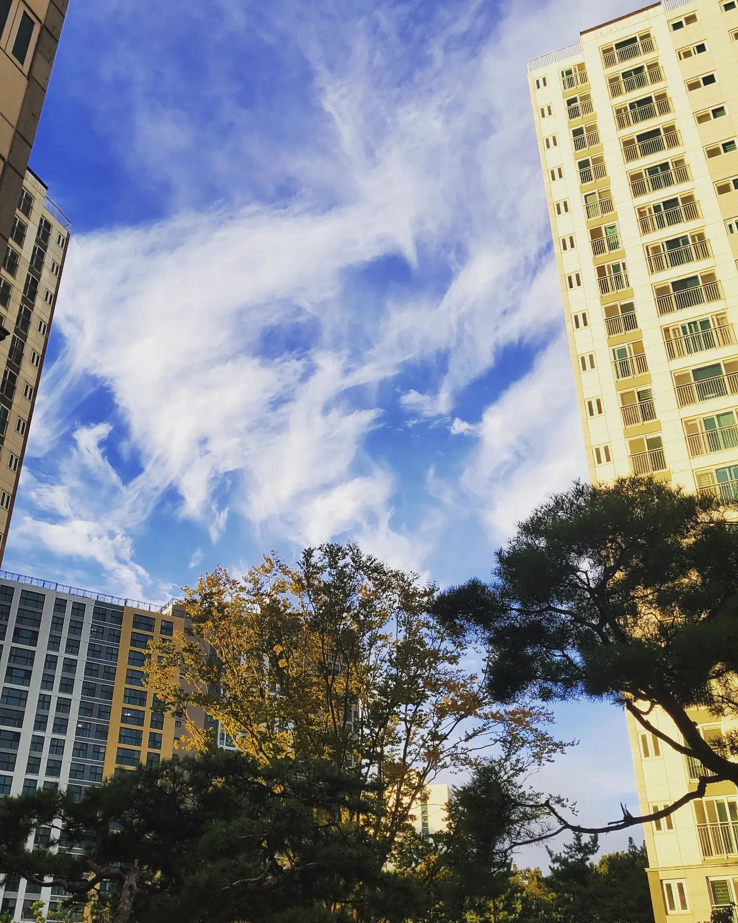 한국 가을하늘2022년10월 하늘 너무좋다❤ 비온뒤 맑음 🌞 
#가을하늘 #한국