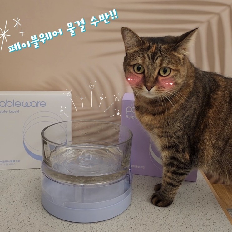 강아지 고양이 음수량 높여주는 페이블웨어 물결 수반 물그릇
