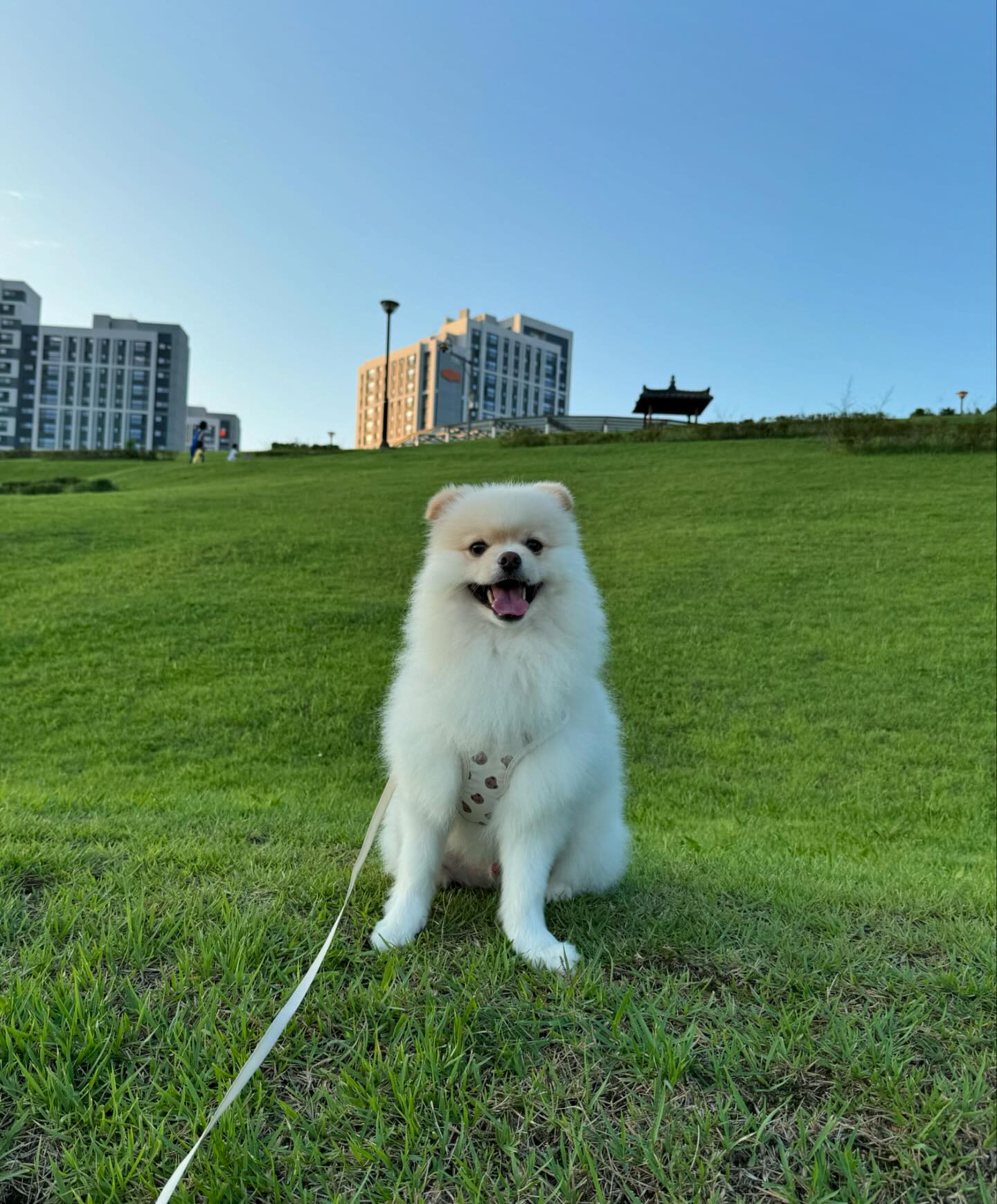 날씨 짱 좋쟈나😎🌱