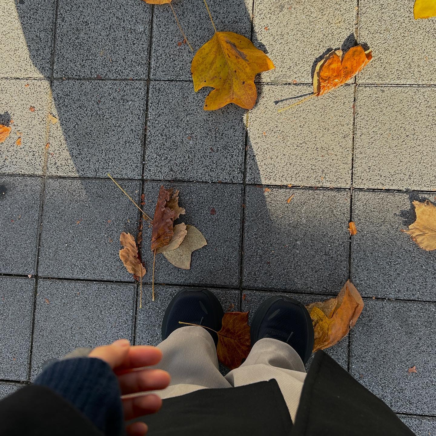 발로 초겨울 잡기 ..🍂