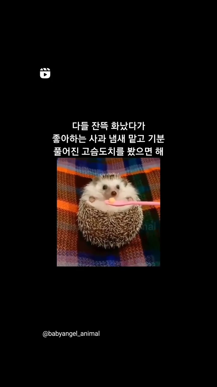 콘텐츠
