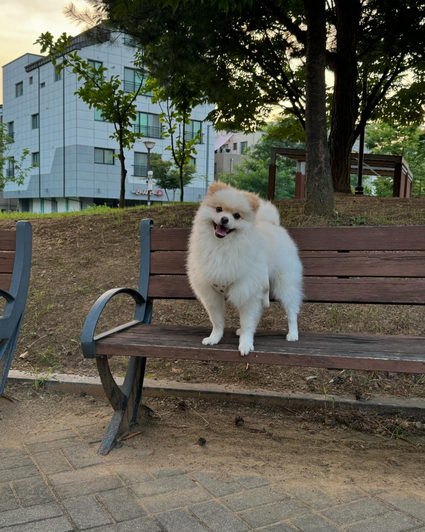 동네산책〰️〰️✌🏻