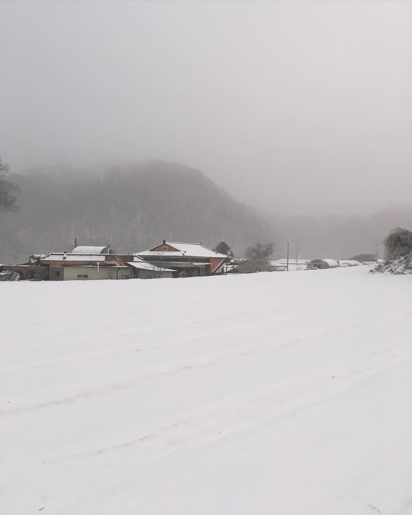할아버지랑 아빠랑 엄마랑 눈사람 만들기⛄️