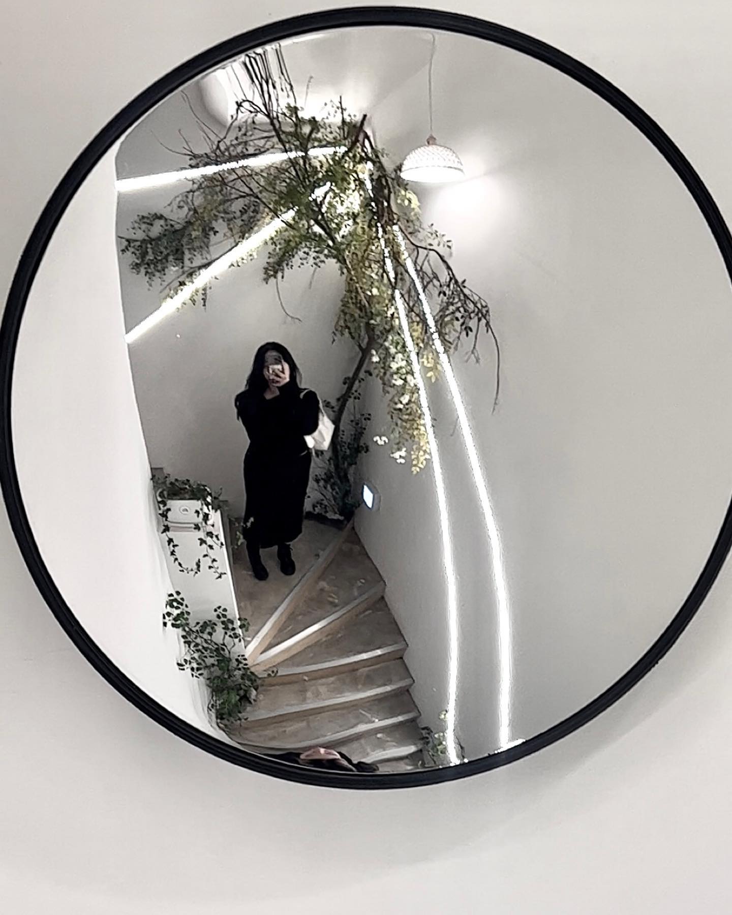 콘텐츠