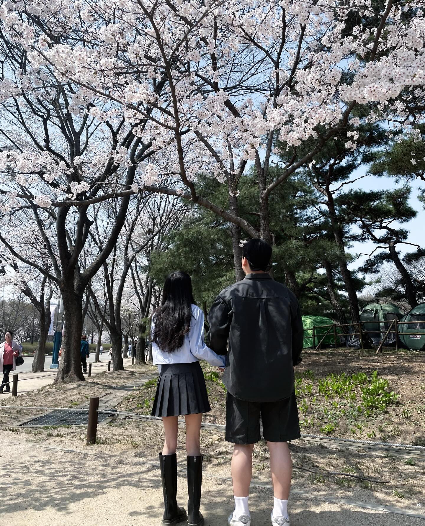 오빠랑 보내는 첫 봄·₊˚❀·₊🩷