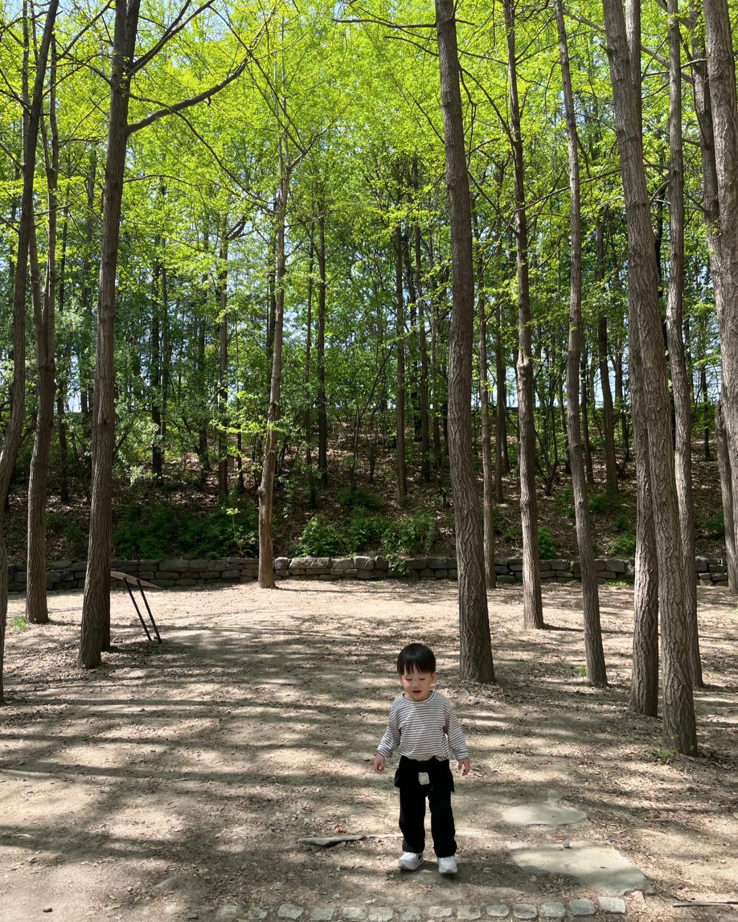 숲체험 간 엉아 덕분에
2시간 알차게 외동놀이 즐긴 도하🫶🏻
서울숲 너무 됴타❤️
.
#서울숲 #사려니숲길너낌